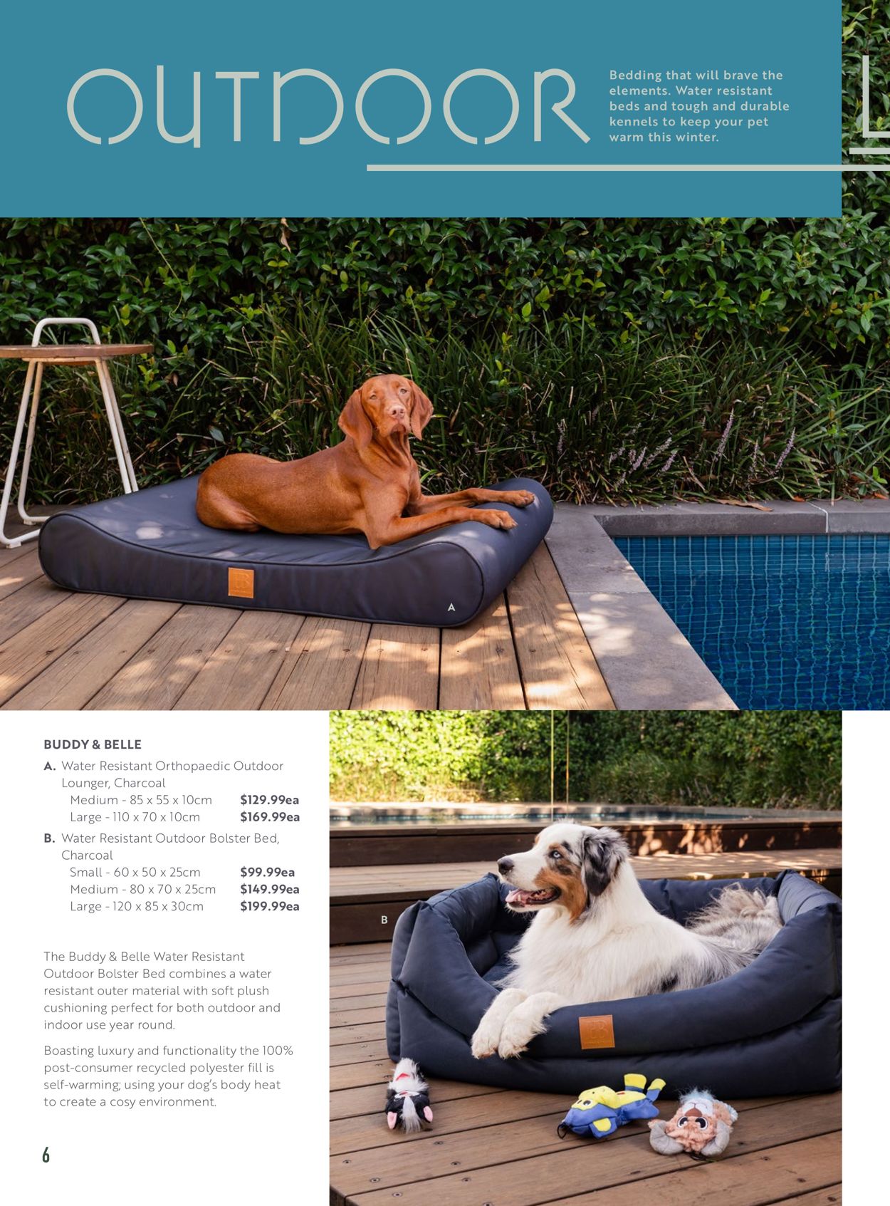 Pet Stock Catalogue - 23/04-31/08/2021 (Page 6)