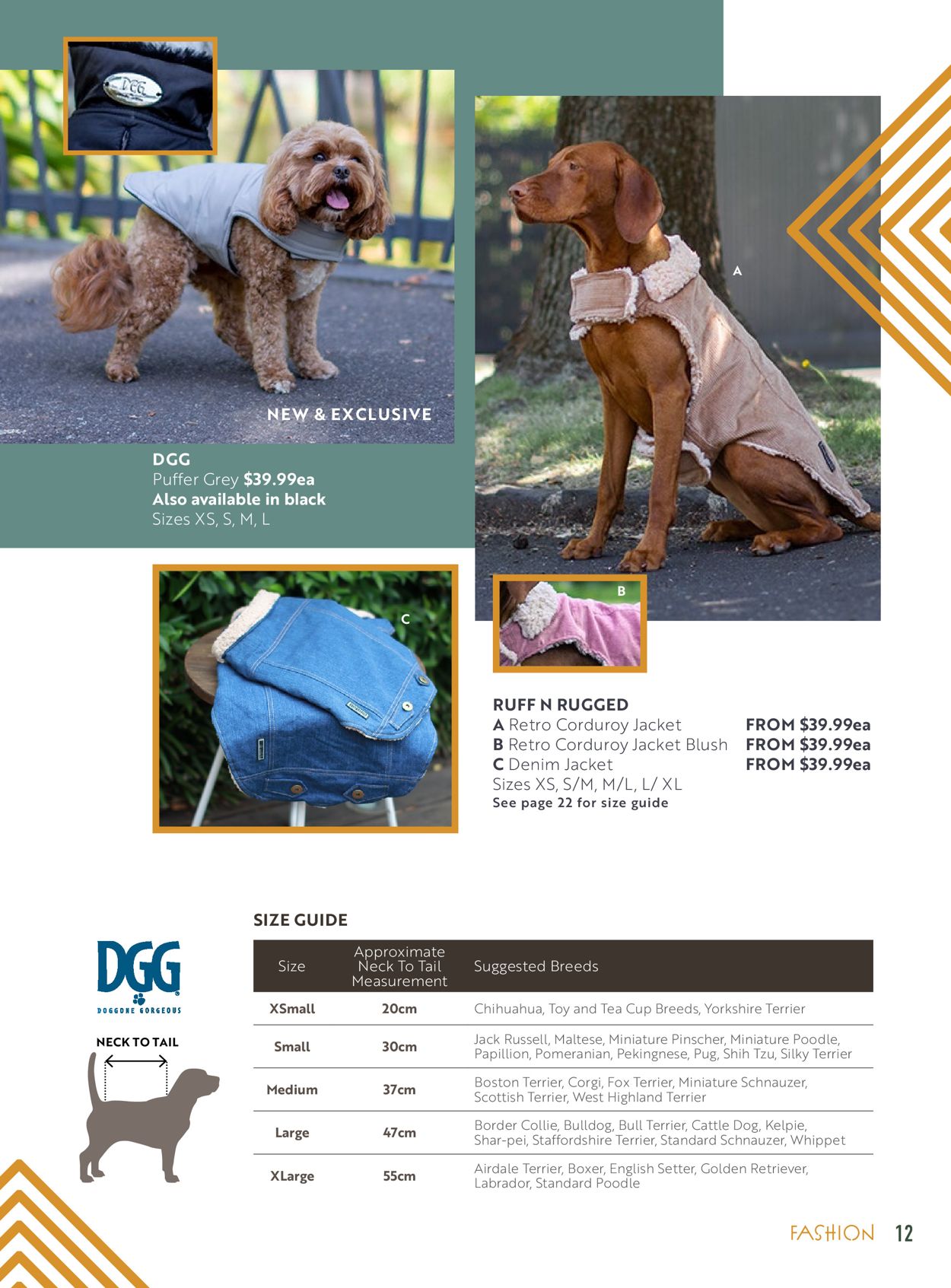 Pet Stock Catalogue - 29/03-31/08/2021 (Page 13)