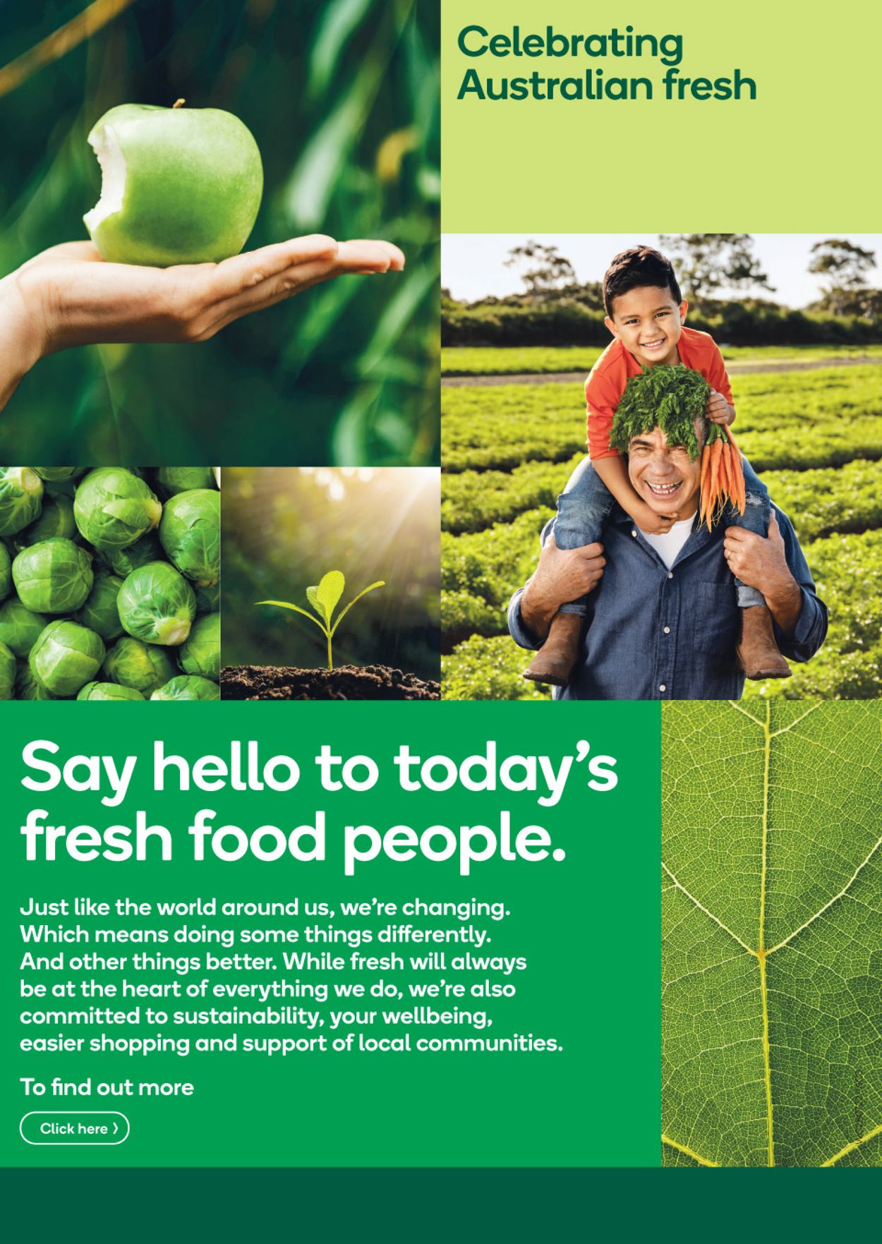 Woolworths Catalogue - 28/07-03/08/2021 (Page 4)