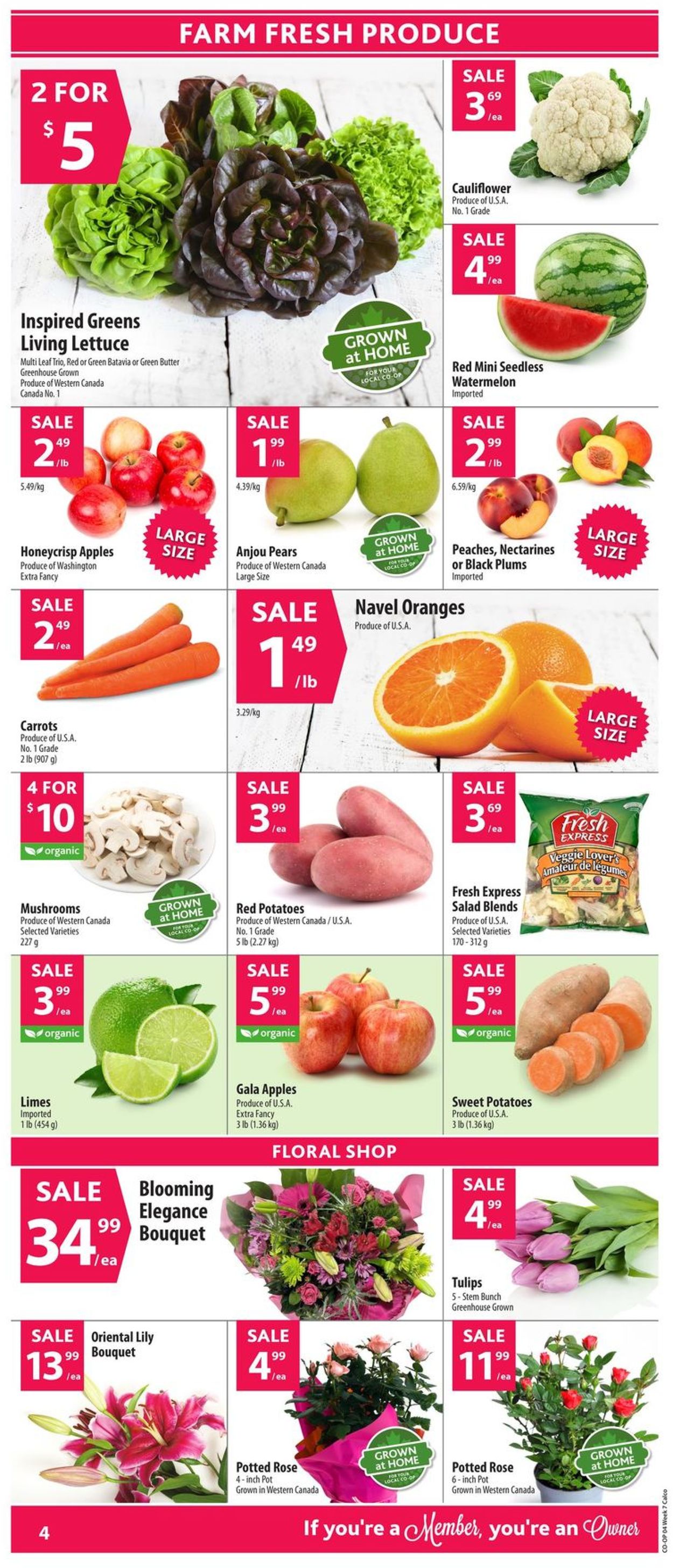 Calgary Co-op Flyer - 02/13-02/19/2020 (Page 5)