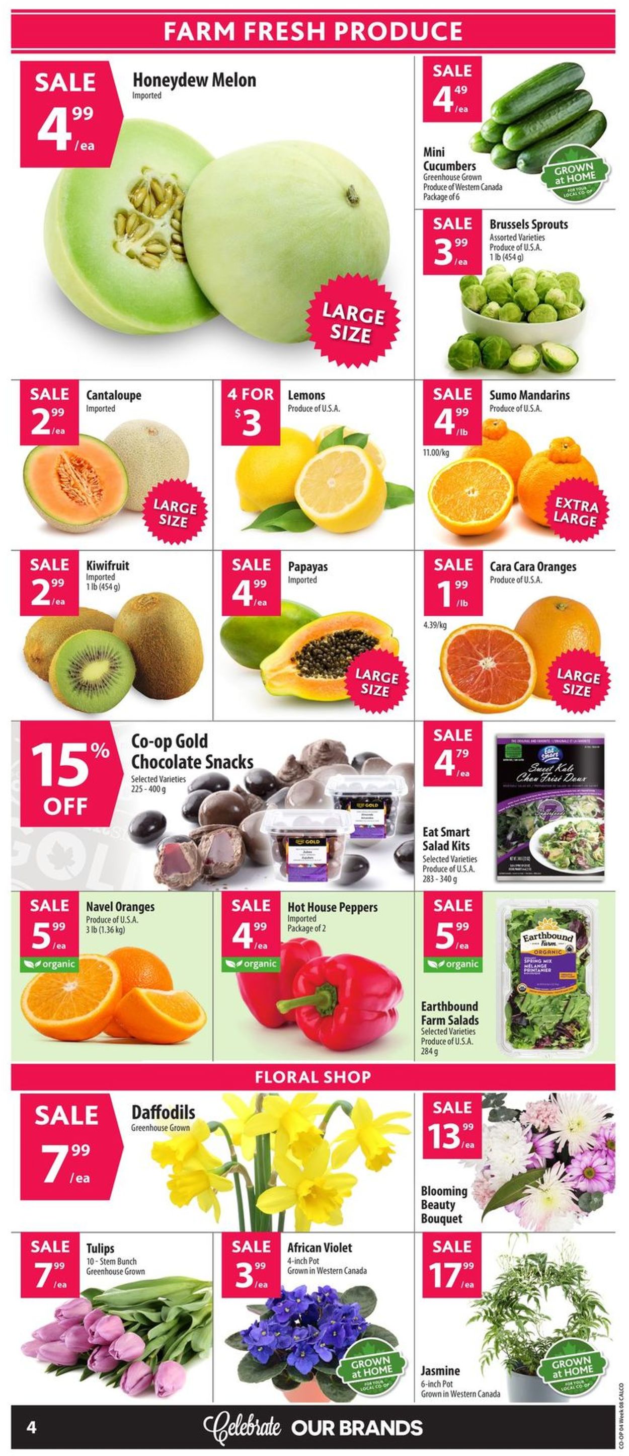 Calgary Co-op Flyer - 02/20-02/26/2020 (Page 6)