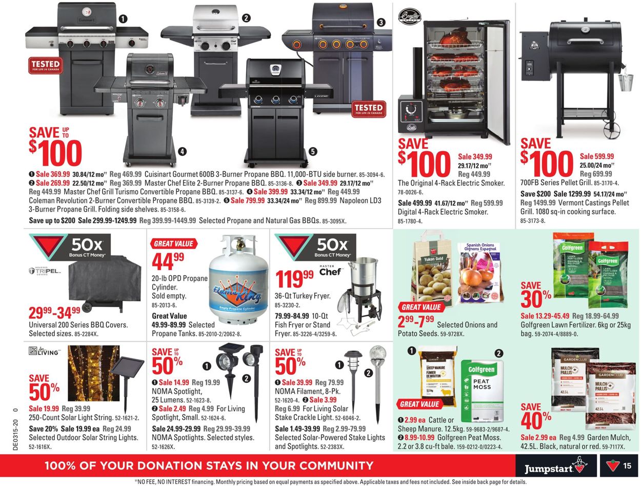 Canadian Tire Flyer - 04/02-04/08/2020 (Page 17)