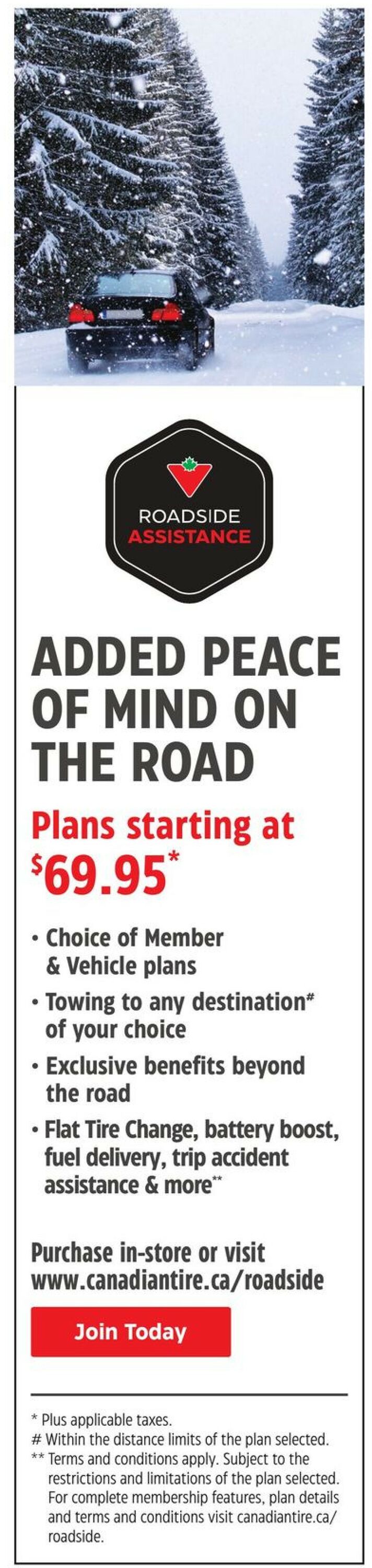 Canadian Tire Flyer - 03/09-03/15/2023 (Page 35)