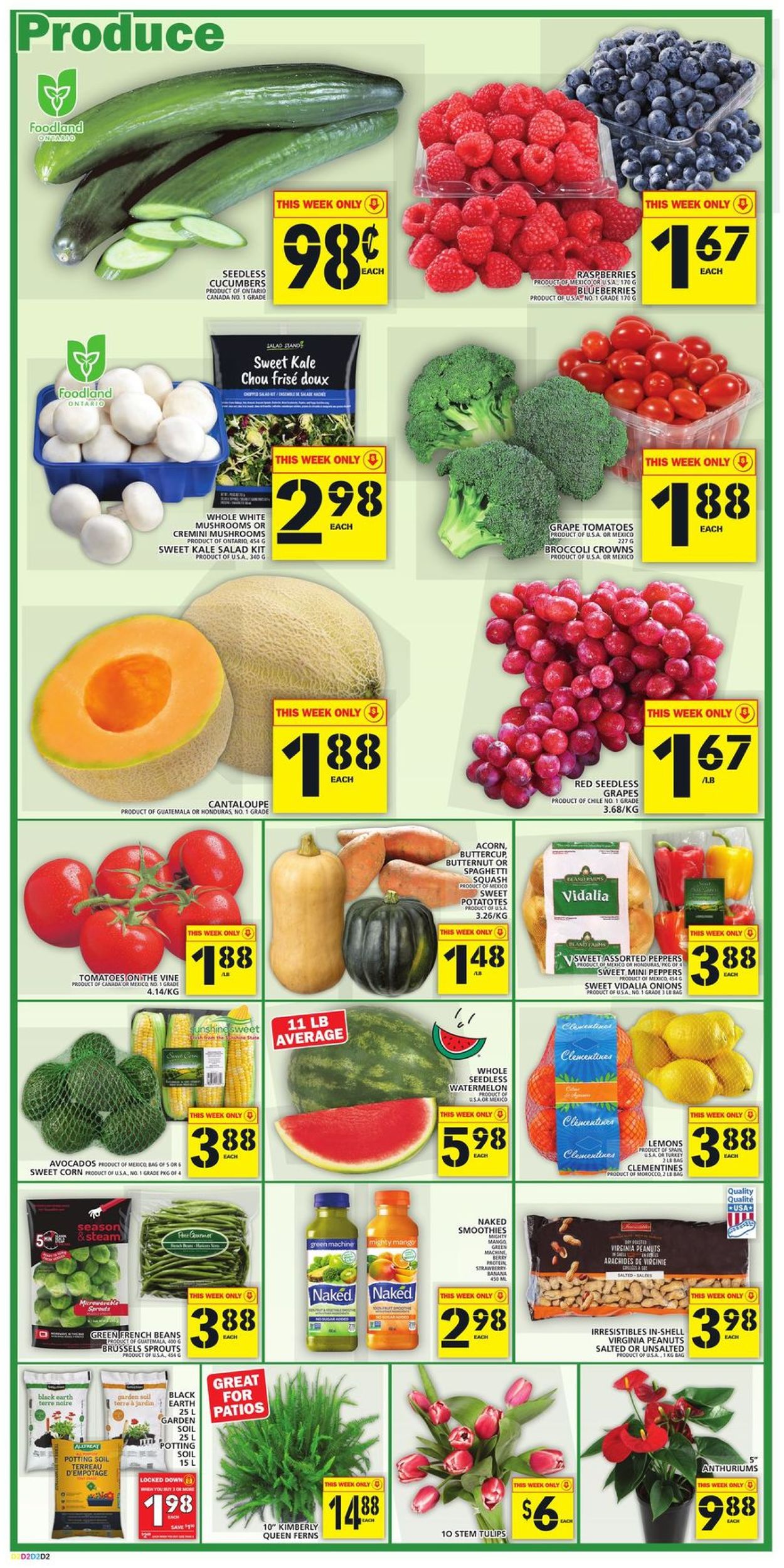 Food Basics Flyer - 04/23-04/29/2020 (Page 3)