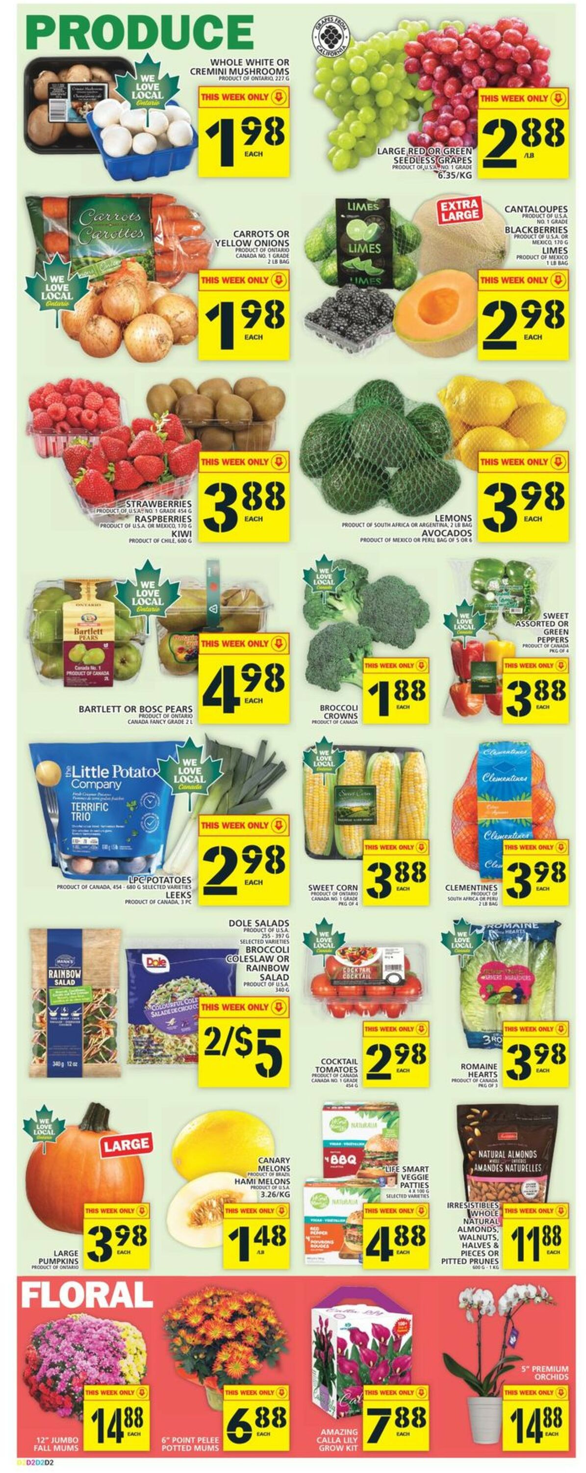 Food Basics Flyer - 09/22-09/28/2022 (Page 4)