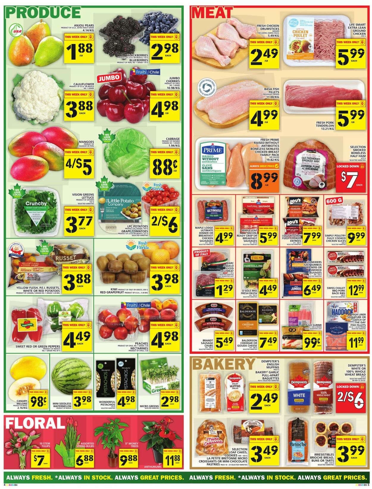 Food Basics Flyer - 01/19-01/25/2023 (Page 5)