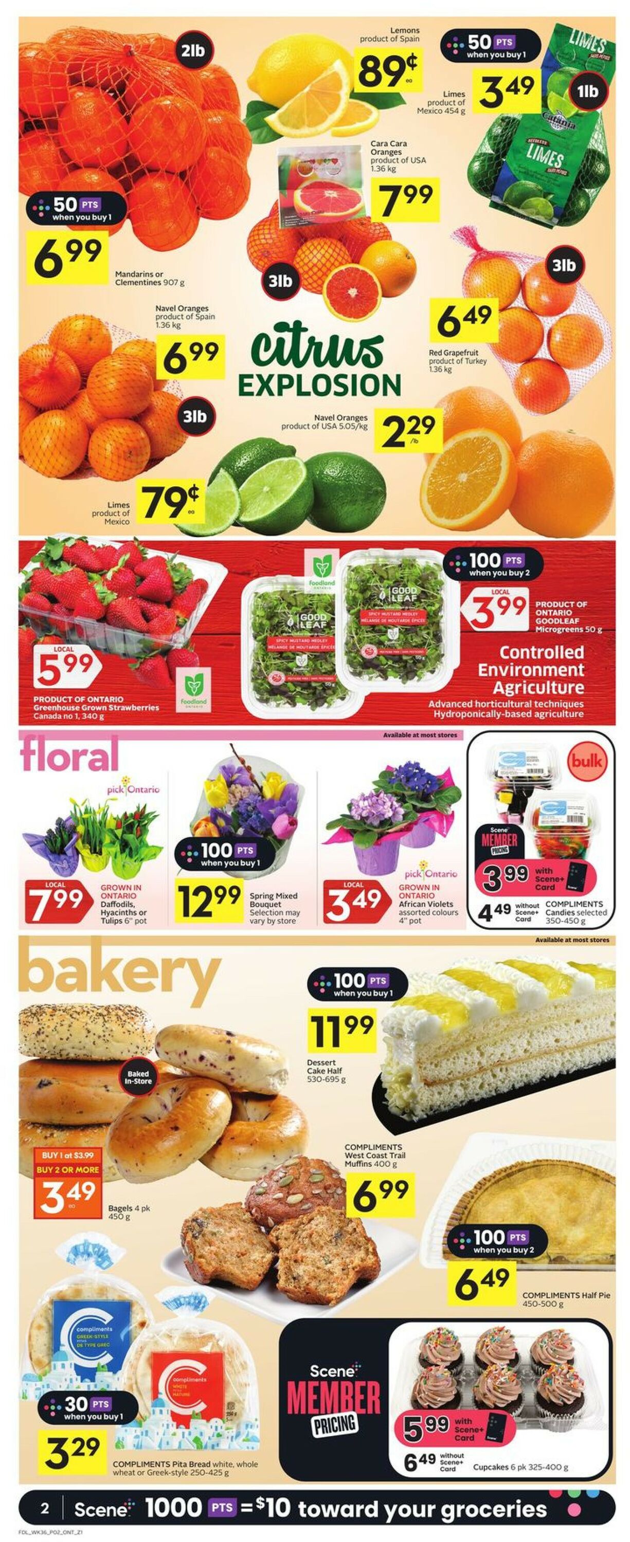 Foodland Flyer - 01/05-01/11/2023 (Page 2)