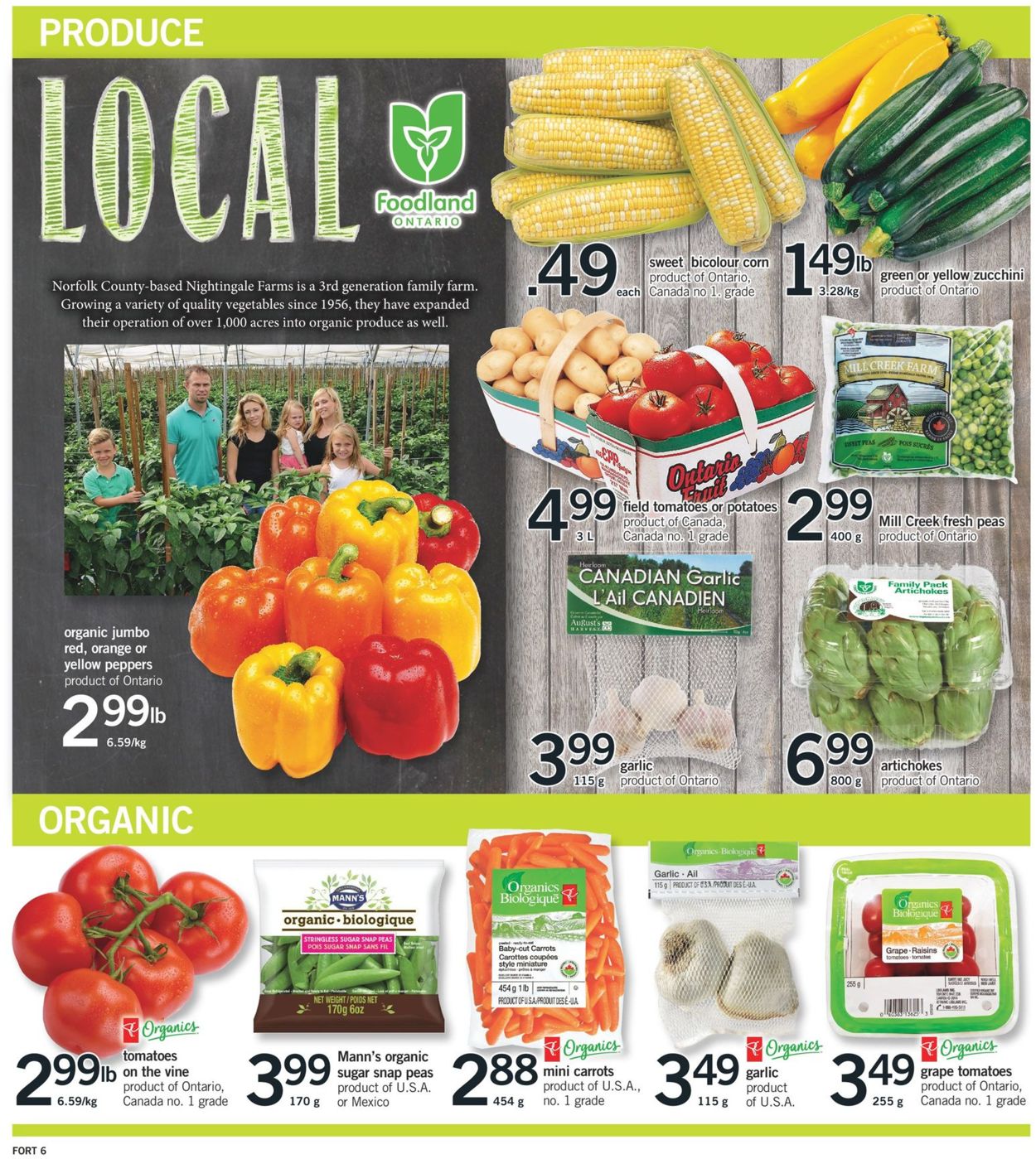 Fortinos Flyer - 08/15-08/21/2019 (Page 7)