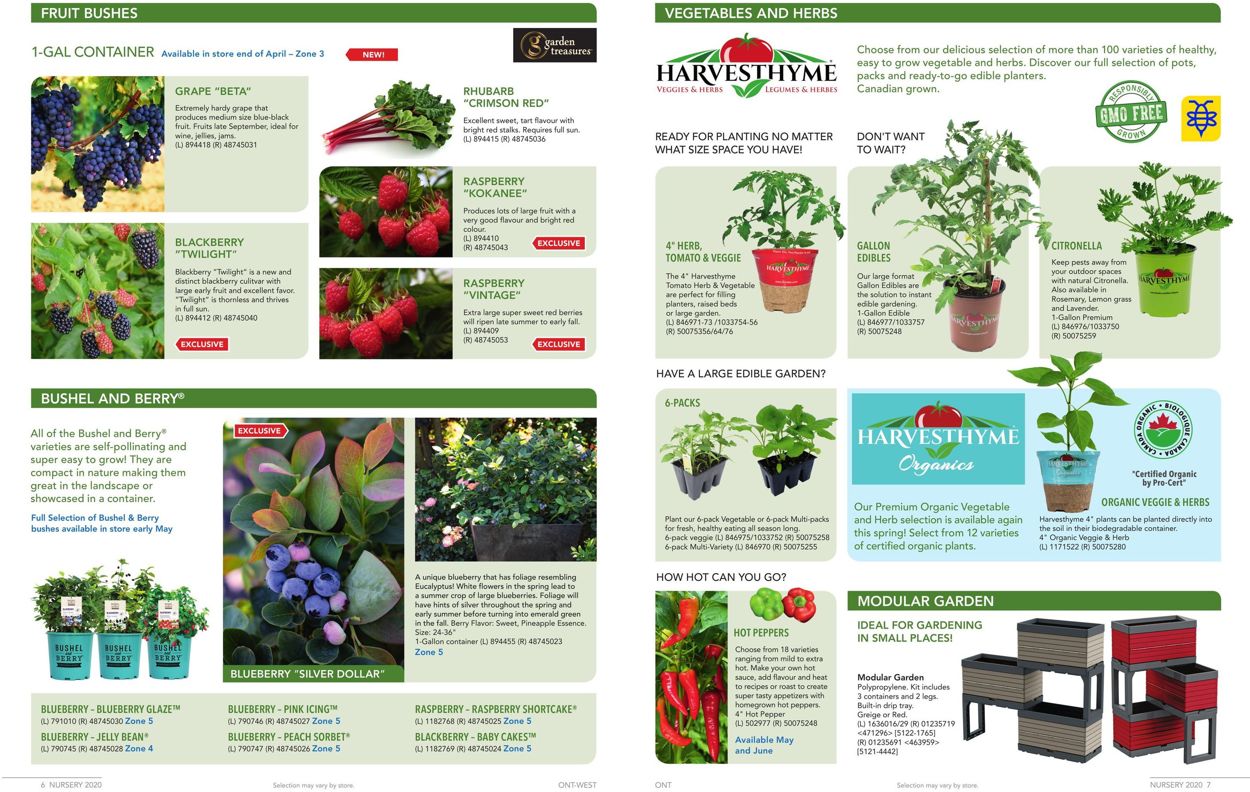 Lowes Flyer - 05/07-07/29/2020 (Page 4)