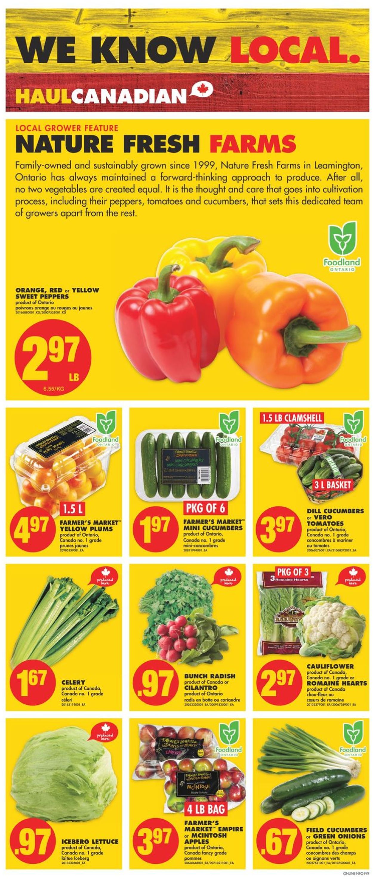 No Frills Flyer - 07/22-07/28/2021 (Page 2)