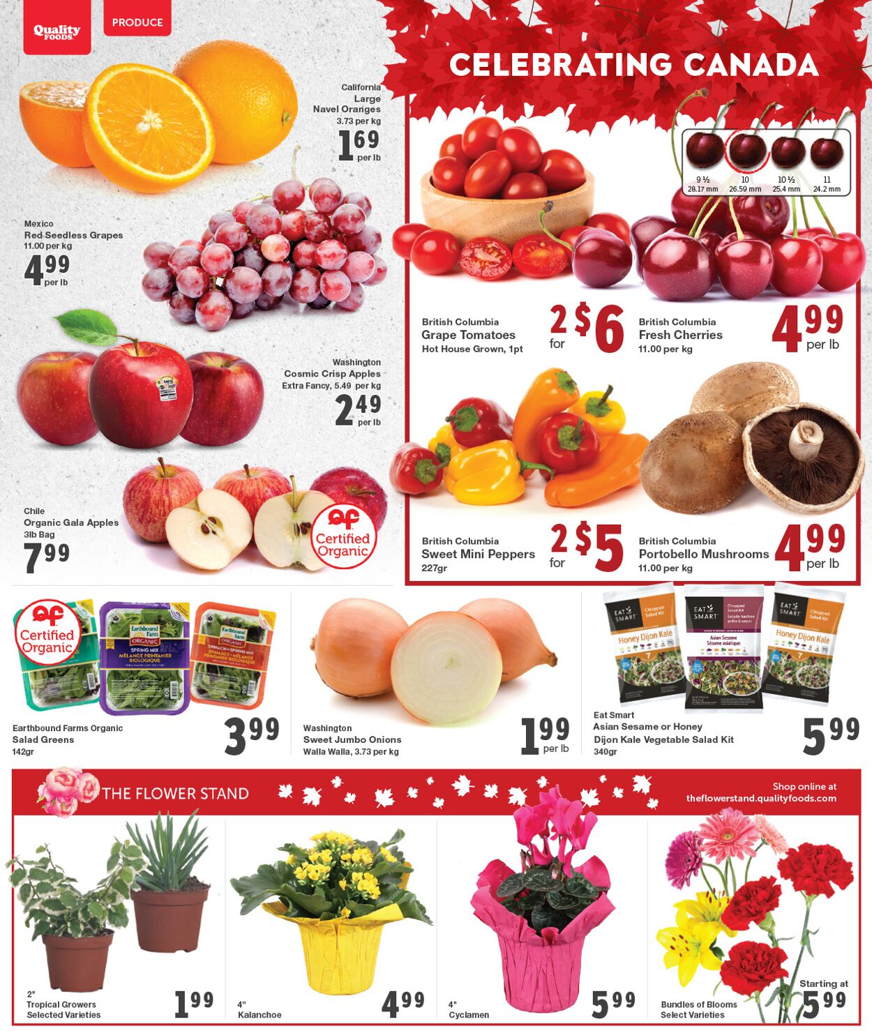 Quality Foods Flyer - 06/26-07/02/2023 (Page 2)