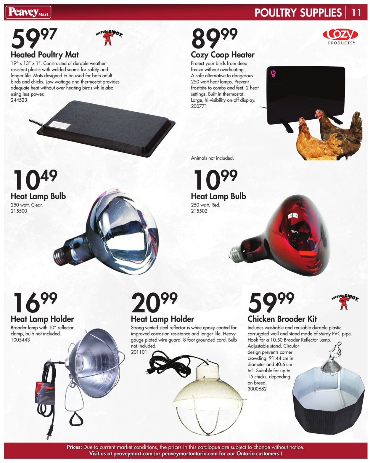 TSC Stores Flyer - 03/15-12/31/2021 (Page 13)