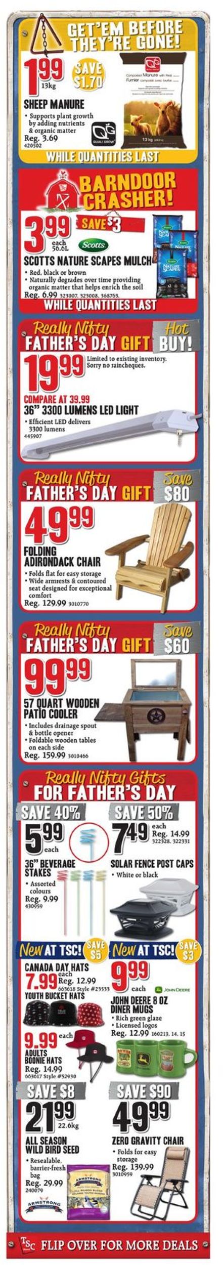 TSC Stores Flyer - 06/07-06/13/2019 (Page 2)