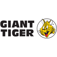 Giant Tiger flyer