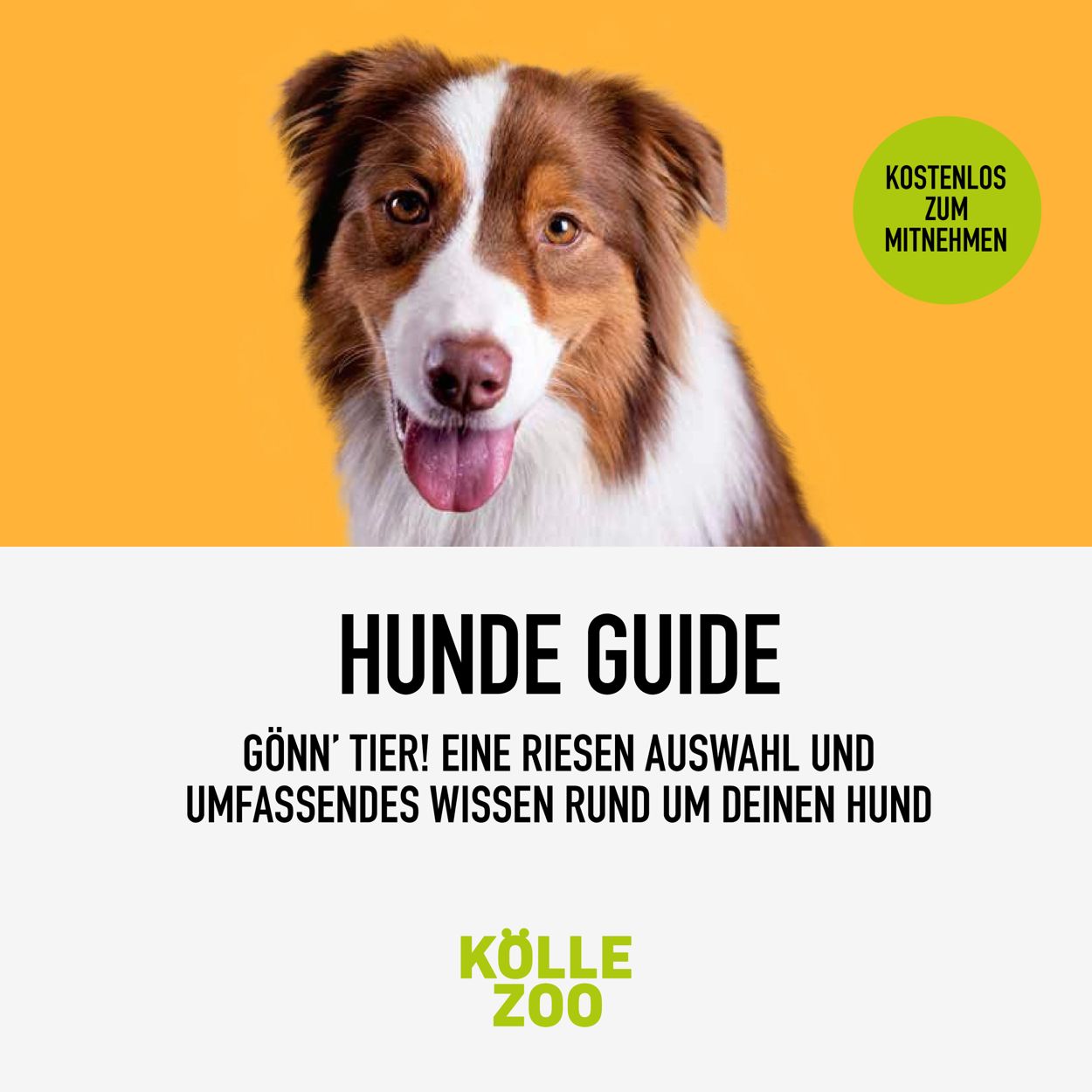 Kölle Zoo Prospekt - Aktuell vom 27.07-21.08.2022