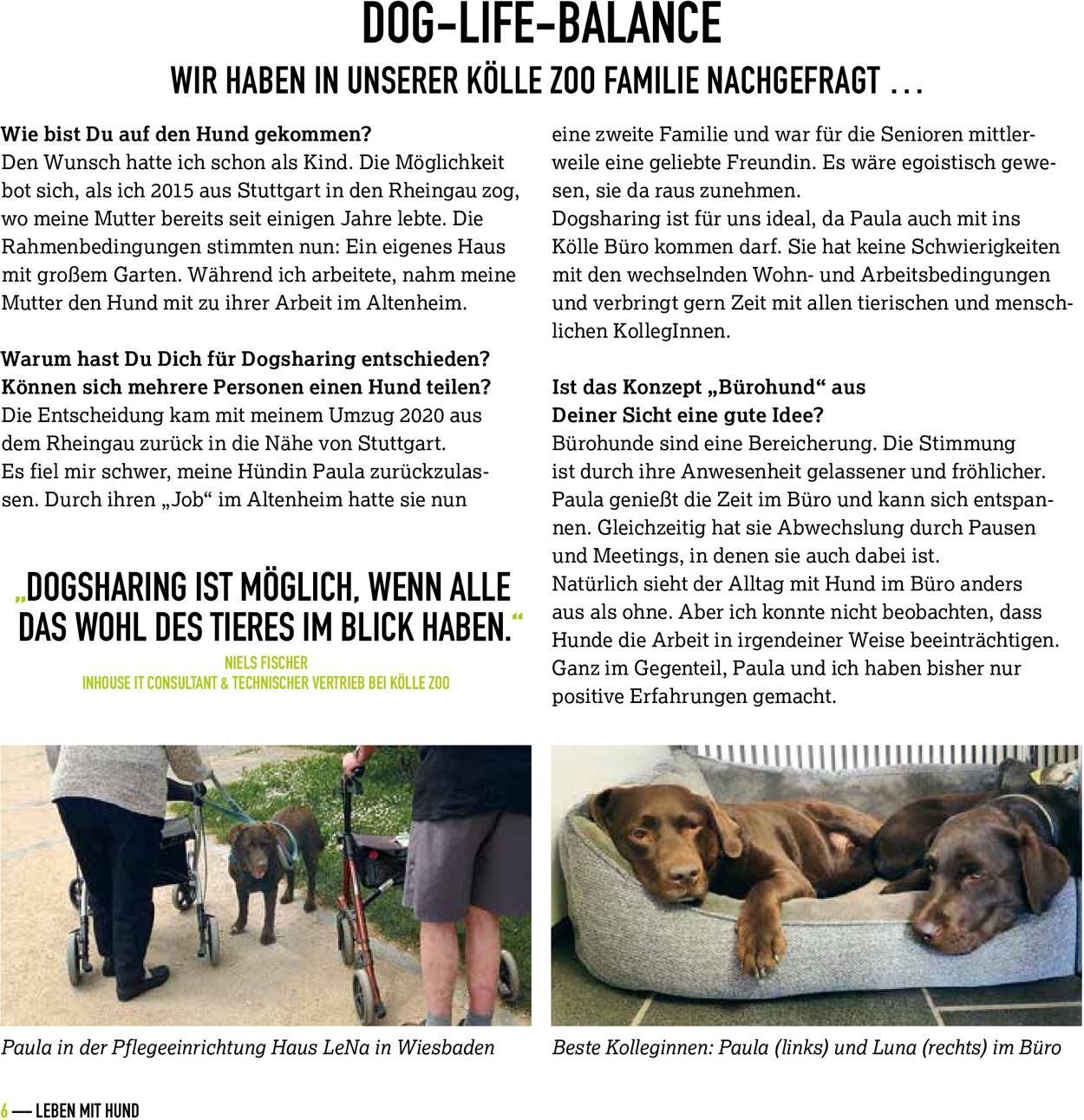 Kölle Zoo Prospekt - Aktuell vom 27.07-21.08.2022 (Seite 6)
