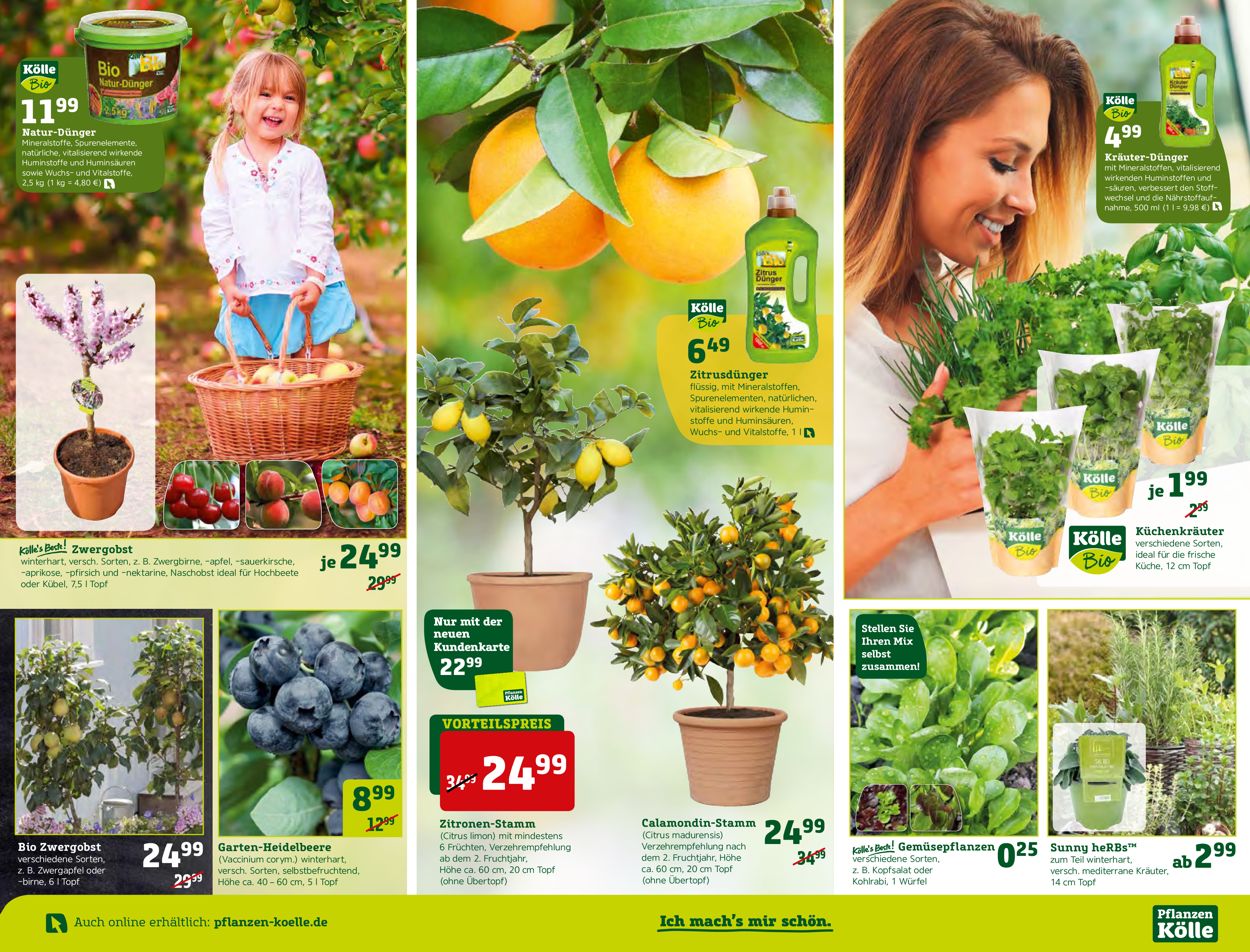 Pflanzen-Kölle Prospekt - Aktuell vom 05.03-11.03.2020 (Seite 4)