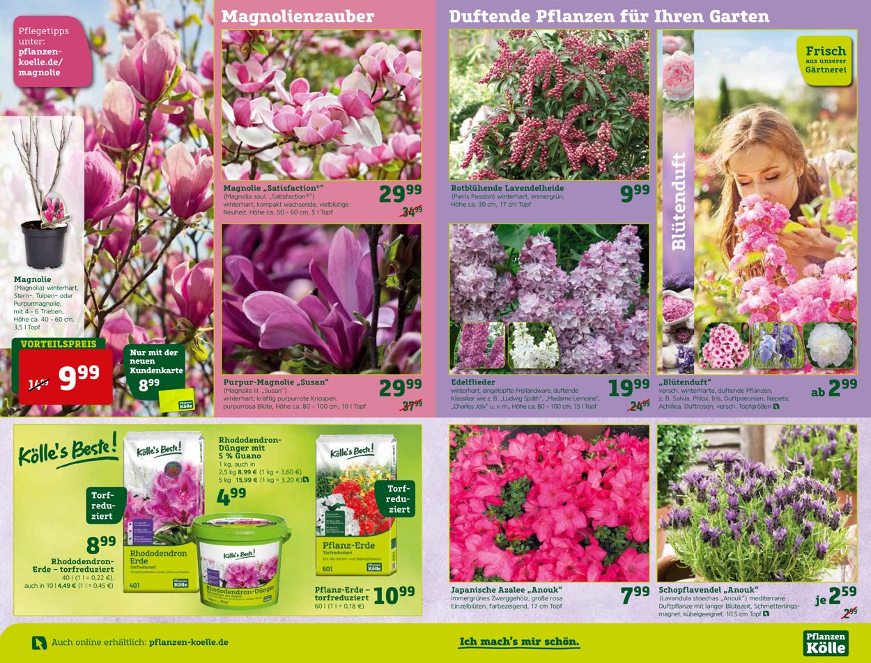 Pflanzen-Kölle Prospekt - Aktuell vom 19.03-25.03.2020 (Seite 4)