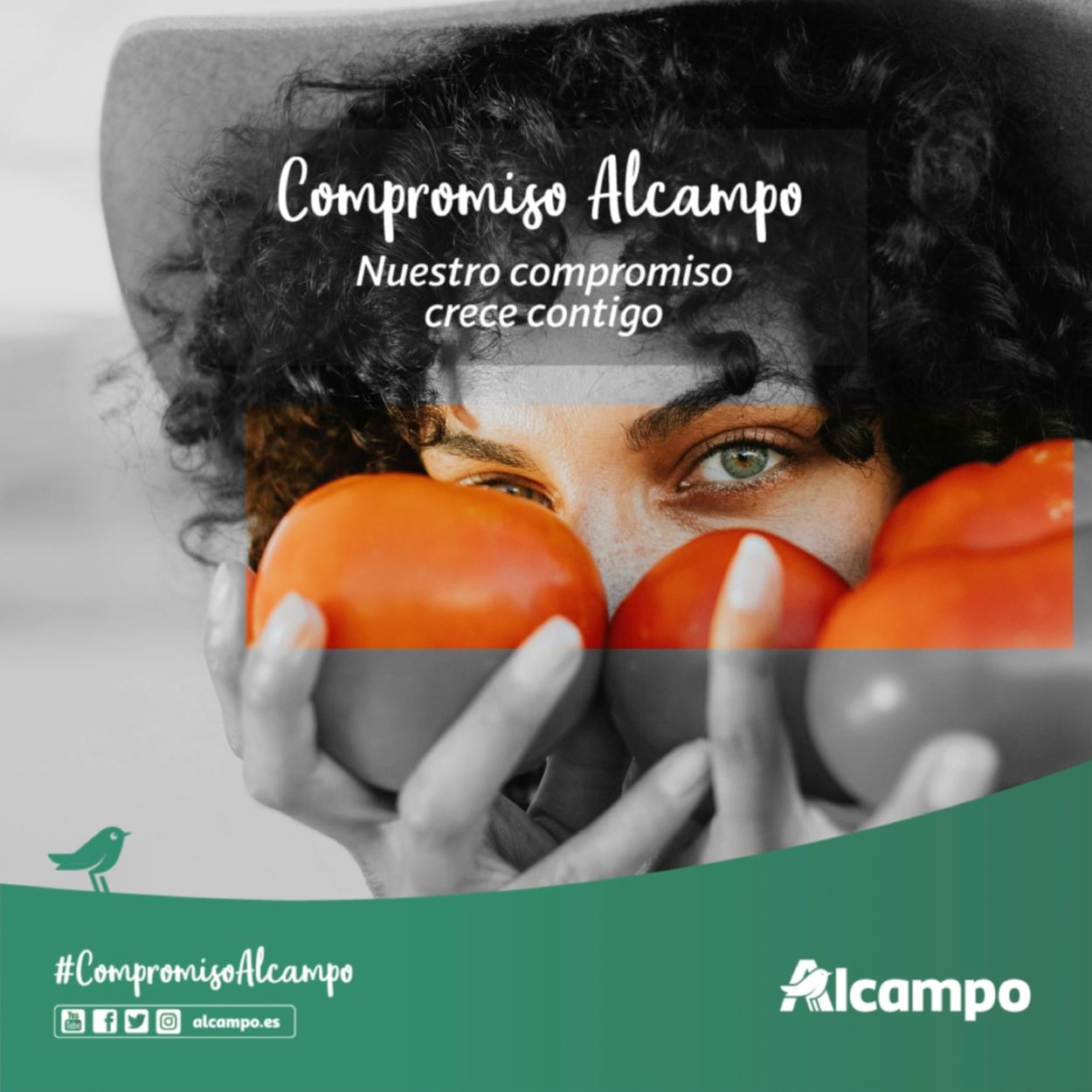 Alcampo Folleto - 24.05-27.08.2021