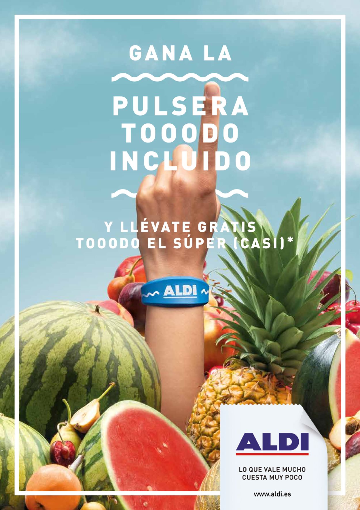 Aldi Folleto - 08.07-14.07.2019
