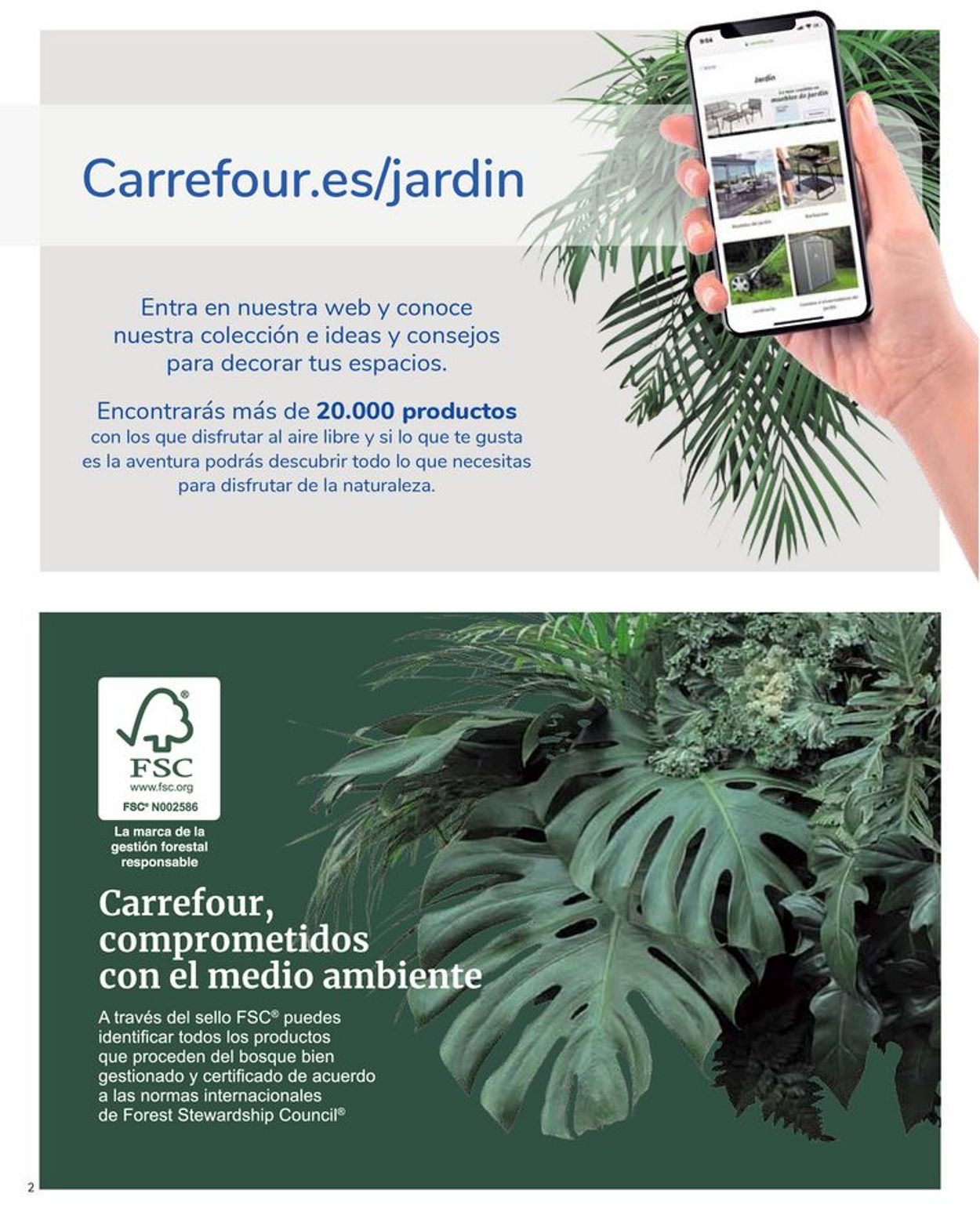 Carrefour Folleto - 15.04-13.05.2020 (Página 2)