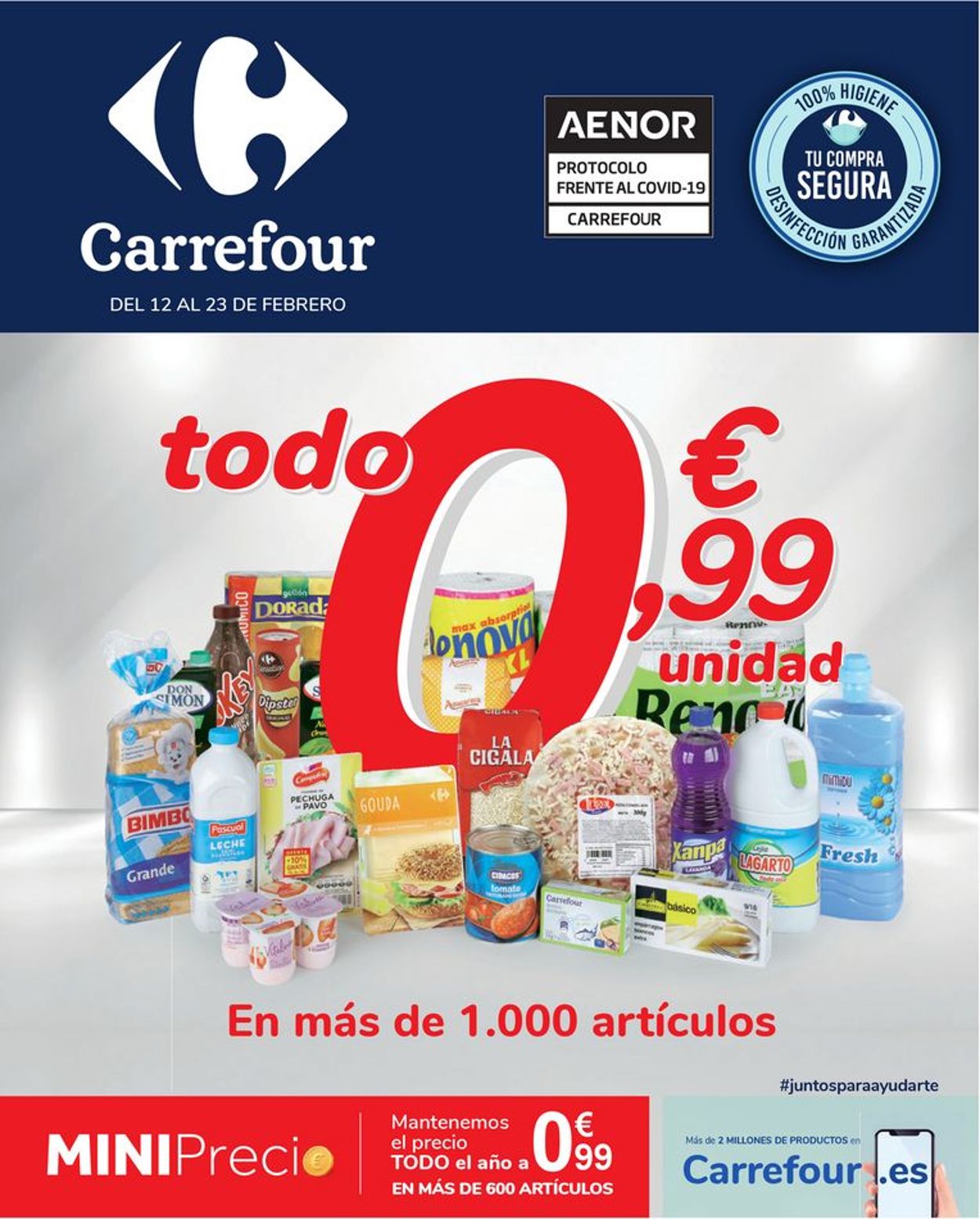 Carrefour Folleto - 12.02-23.02.2021