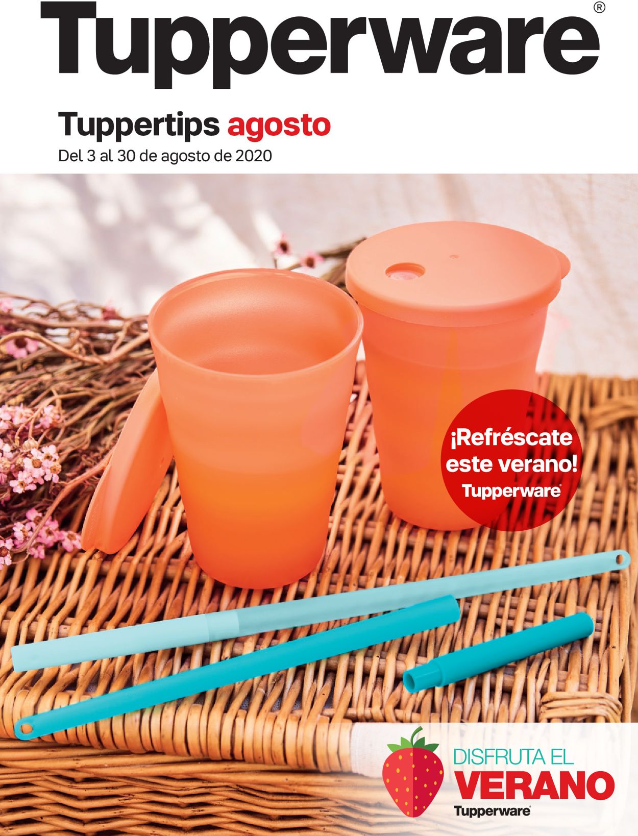 Tupperware Folleto - 03.08-30.08.2020