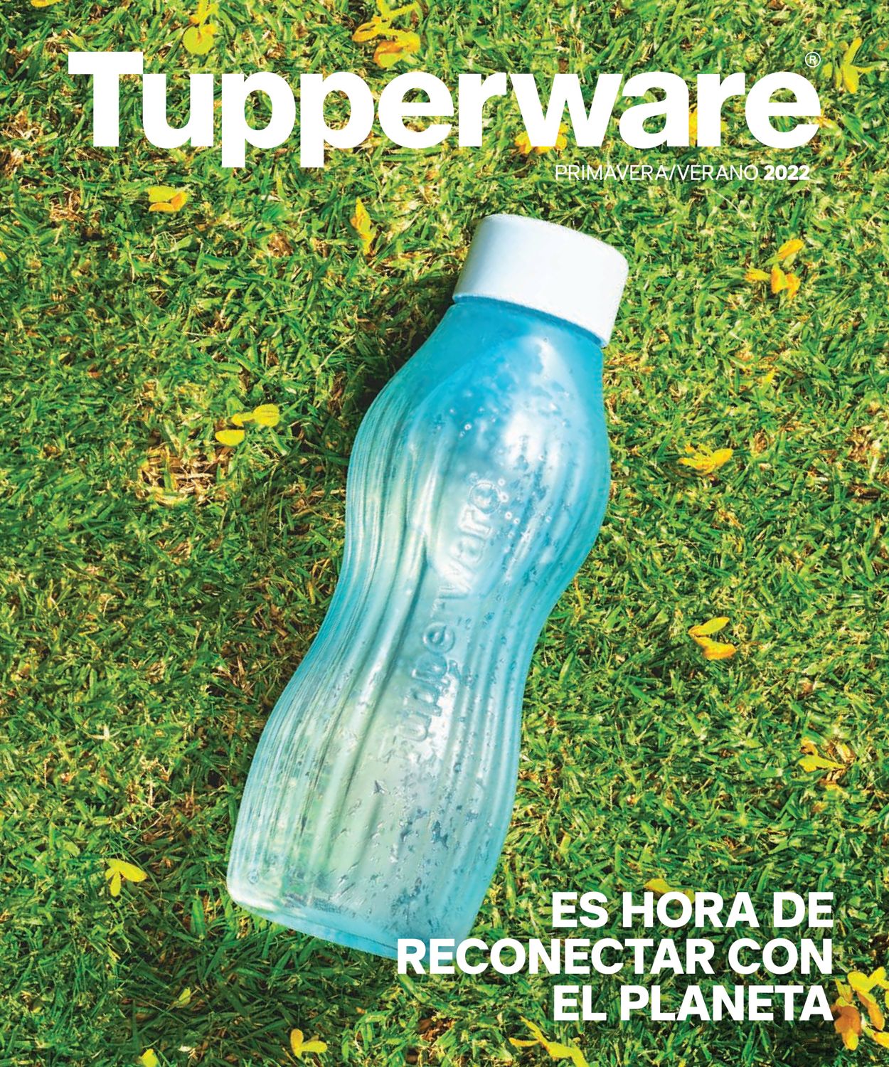 Tupperware Folleto - 29.05-30.09.2022