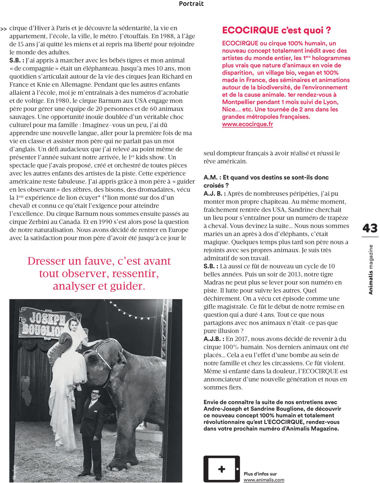Animalis Catalogue - 06.07-31.10.2020 (Page 43)