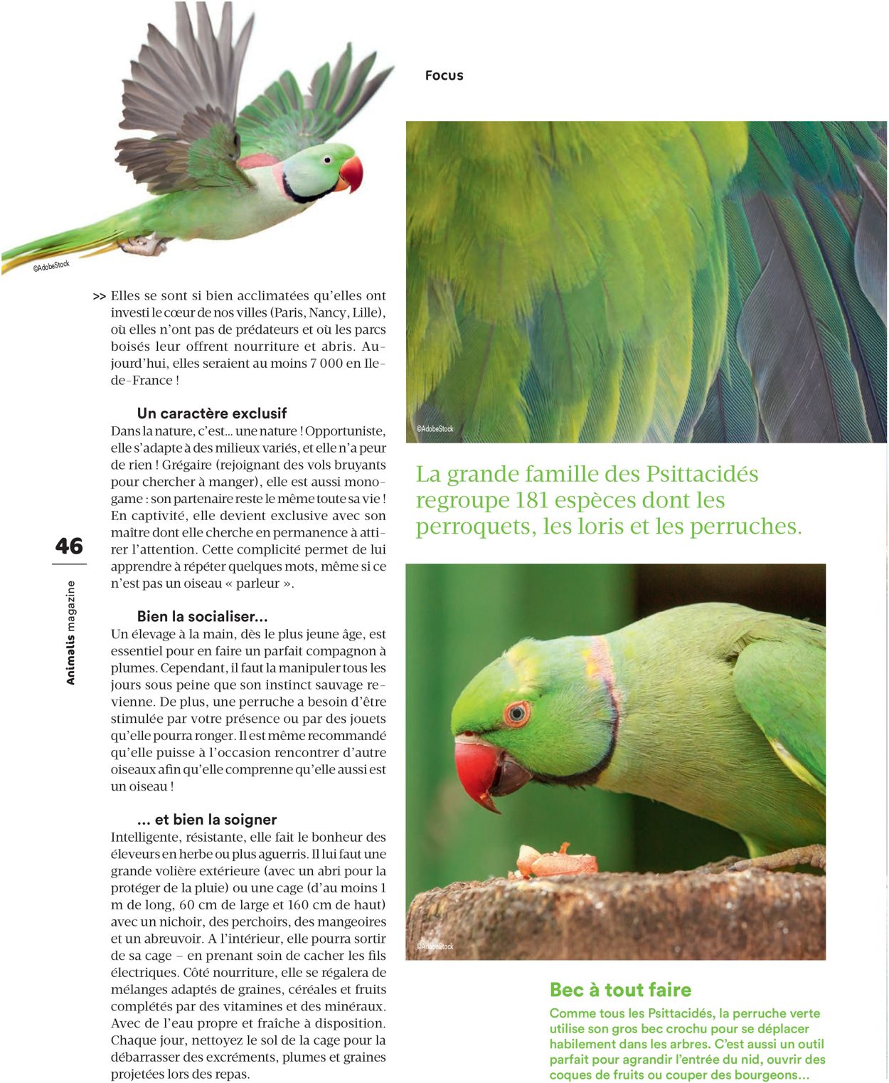 Animalis Catalogue - 06.07-31.10.2020 (Page 46)