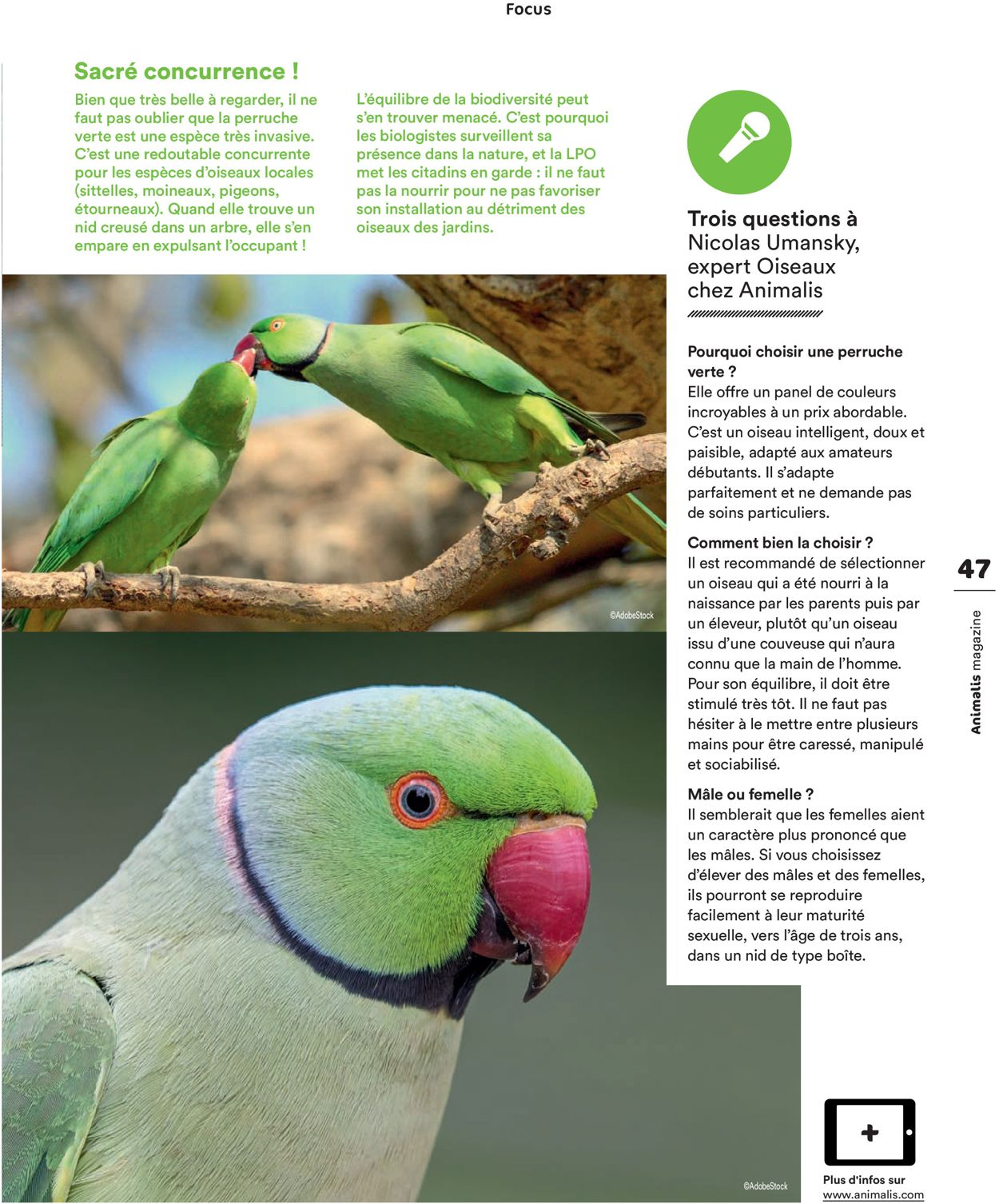 Animalis Catalogue - 06.07-31.10.2020 (Page 47)