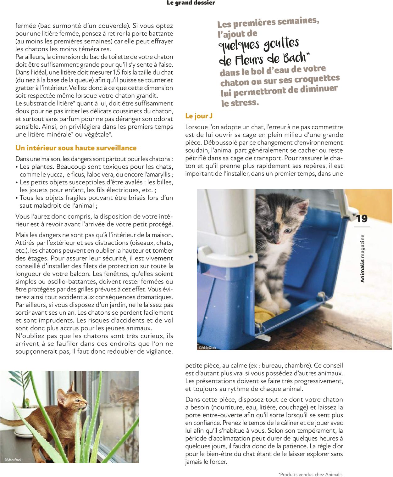 Animalis Catalogue - 01.03-30.06.2022 (Page 19)