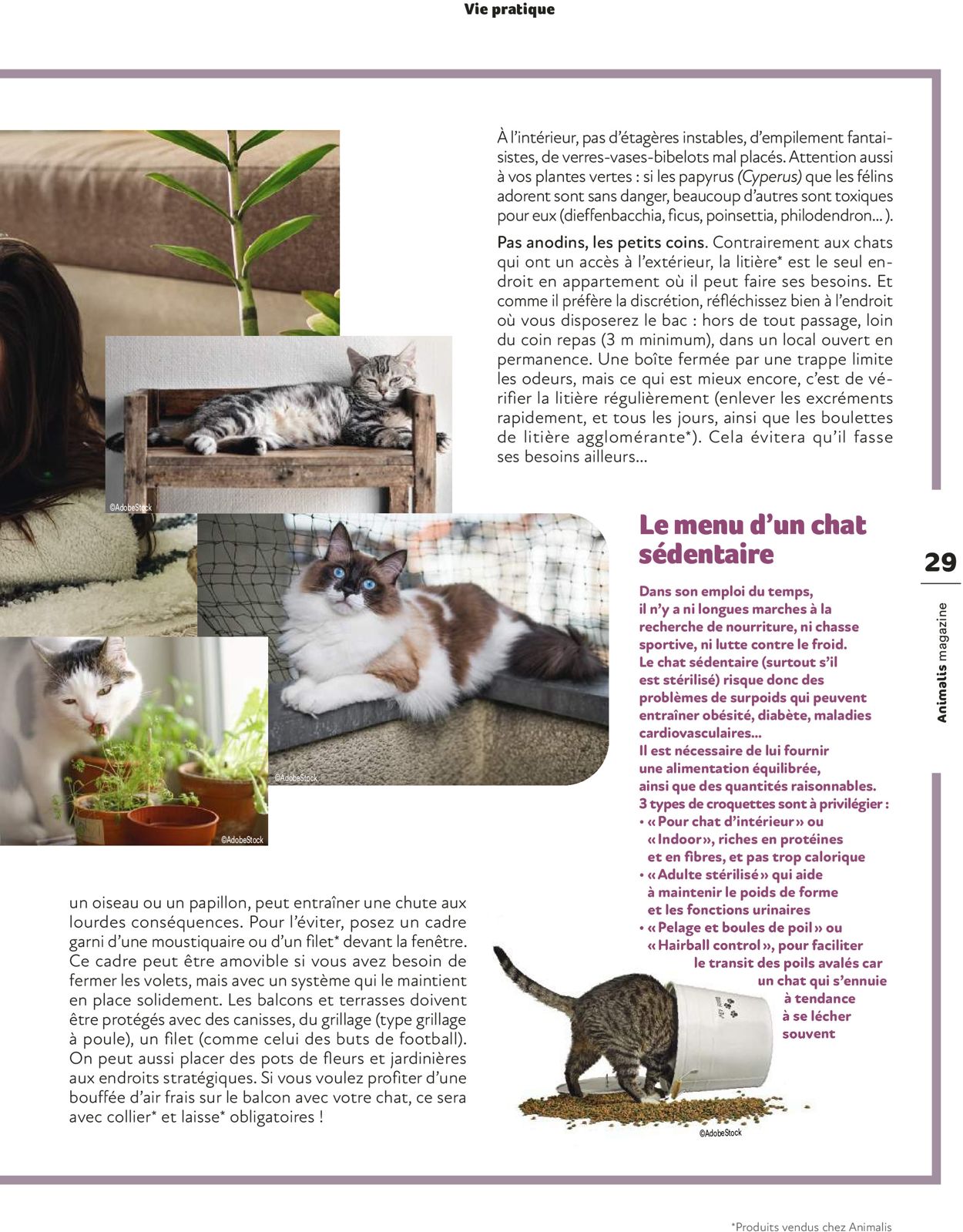 Animalis Catalogue - 01.03-30.06.2022 (Page 29)