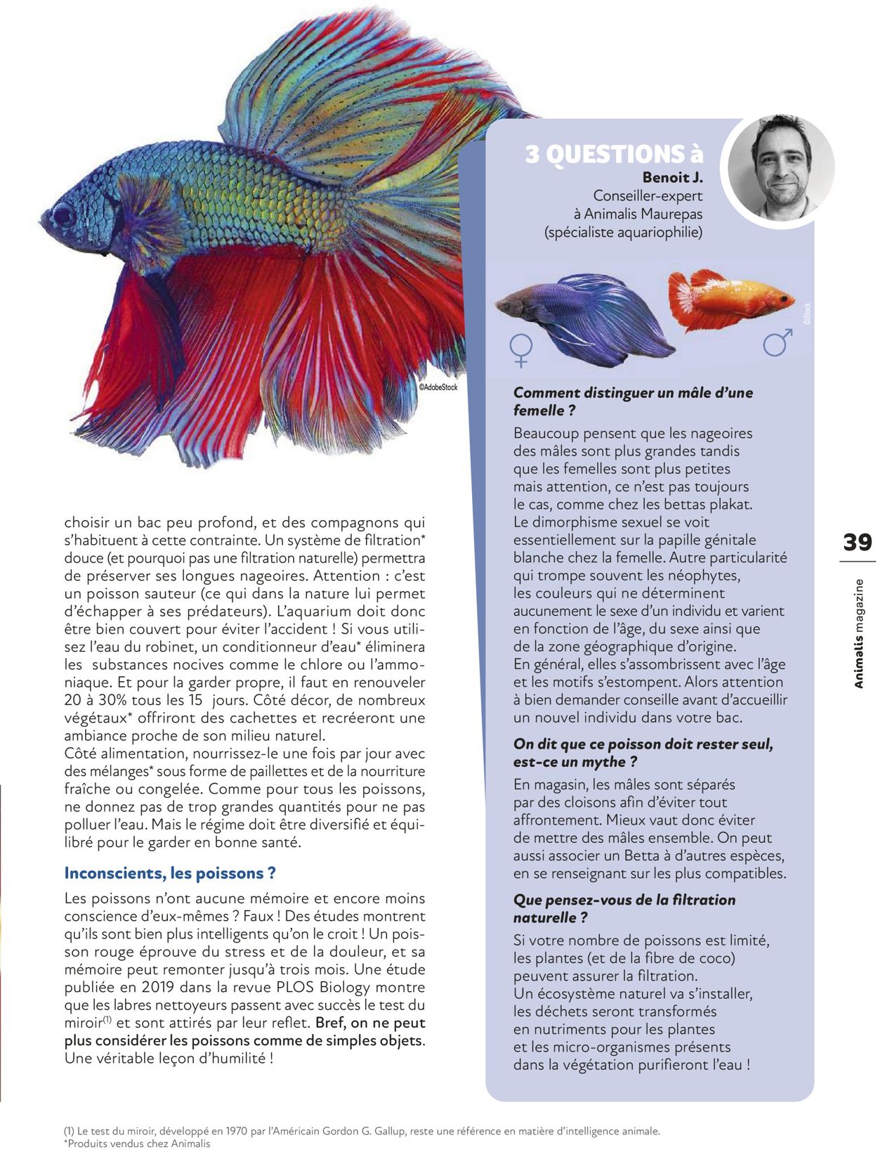 Animalis Catalogue - 01.03-30.06.2022 (Page 39)