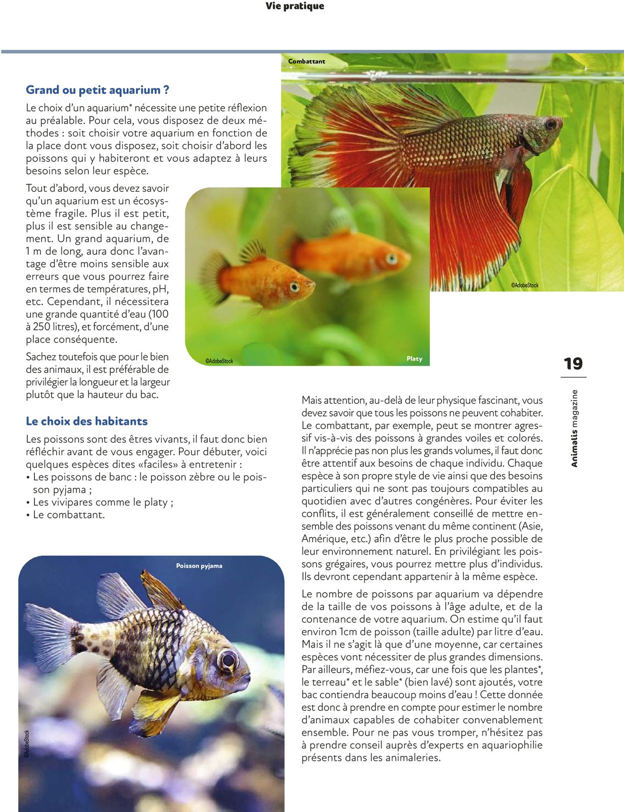 Animalis Catalogue - 01.07-31.10.2022 (Page 19)