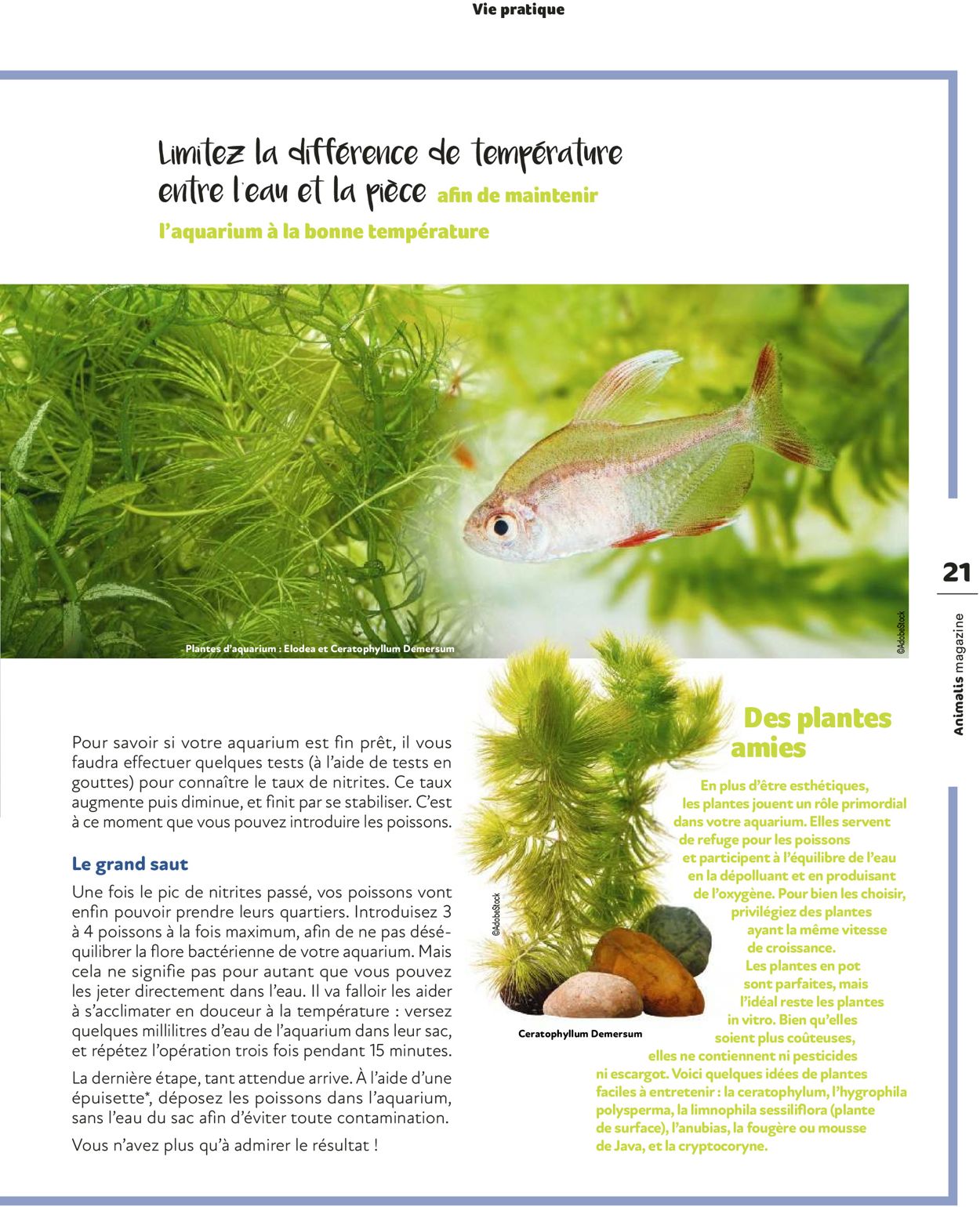 Animalis Catalogue - 01.07-31.10.2022 (Page 21)