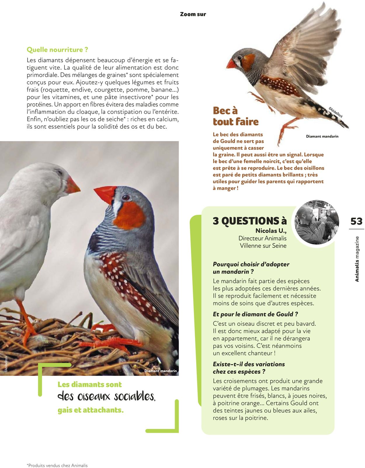 Animalis Catalogue - 01.07-31.10.2022 (Page 53)