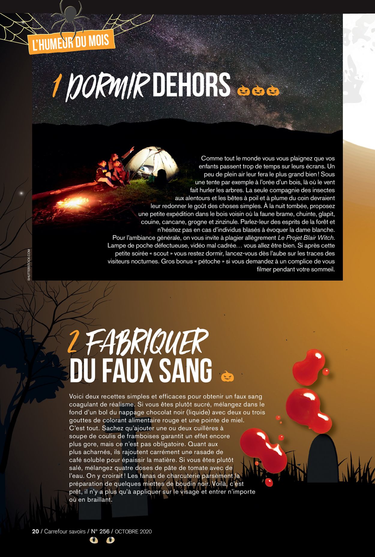 Carrefour Catalogue - 01.10-31.10.2020 (Page 20)