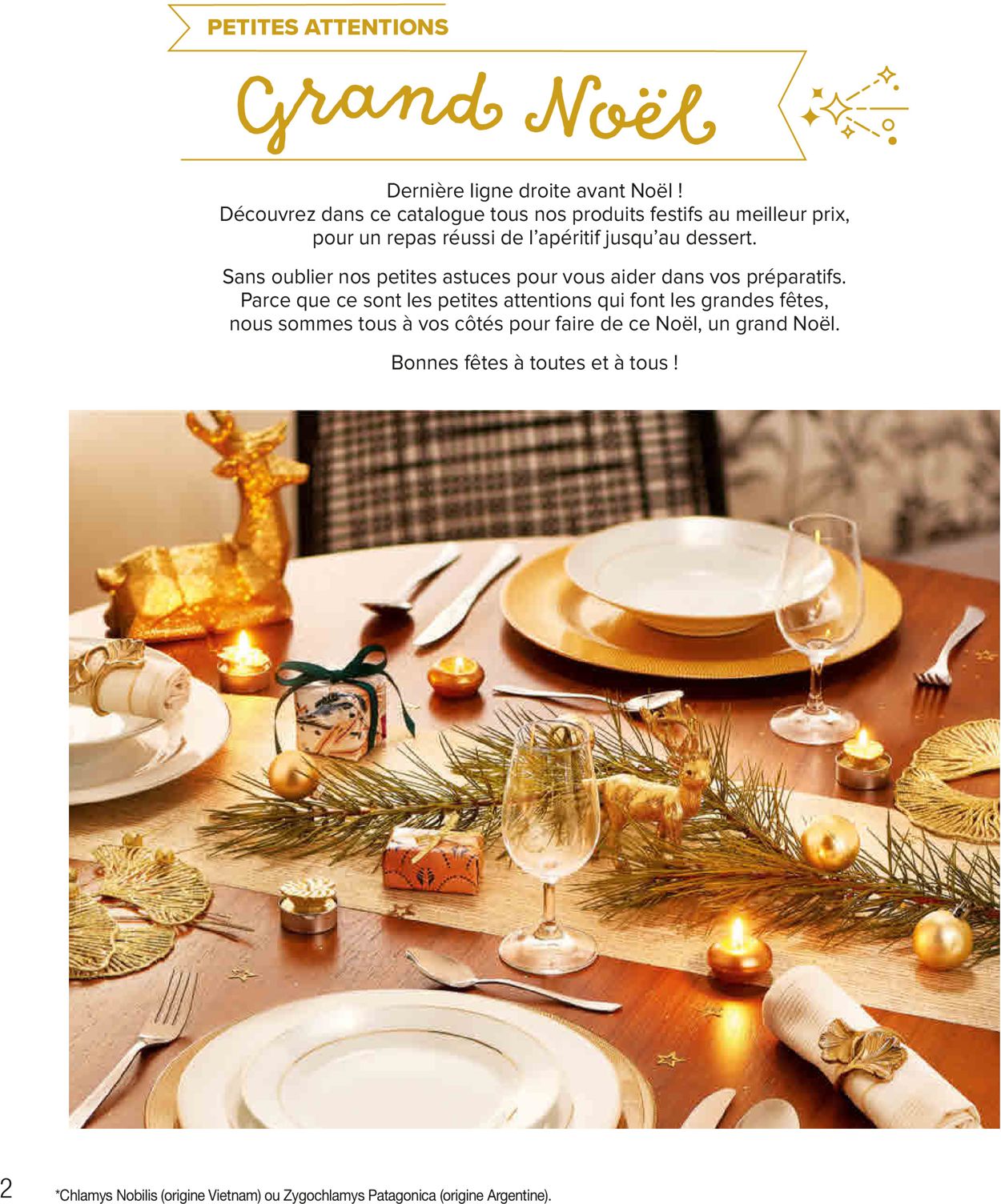 Carrefour Grand Noël 2020 Catalogue - 21.12-31.12.2020 (Page 2)
