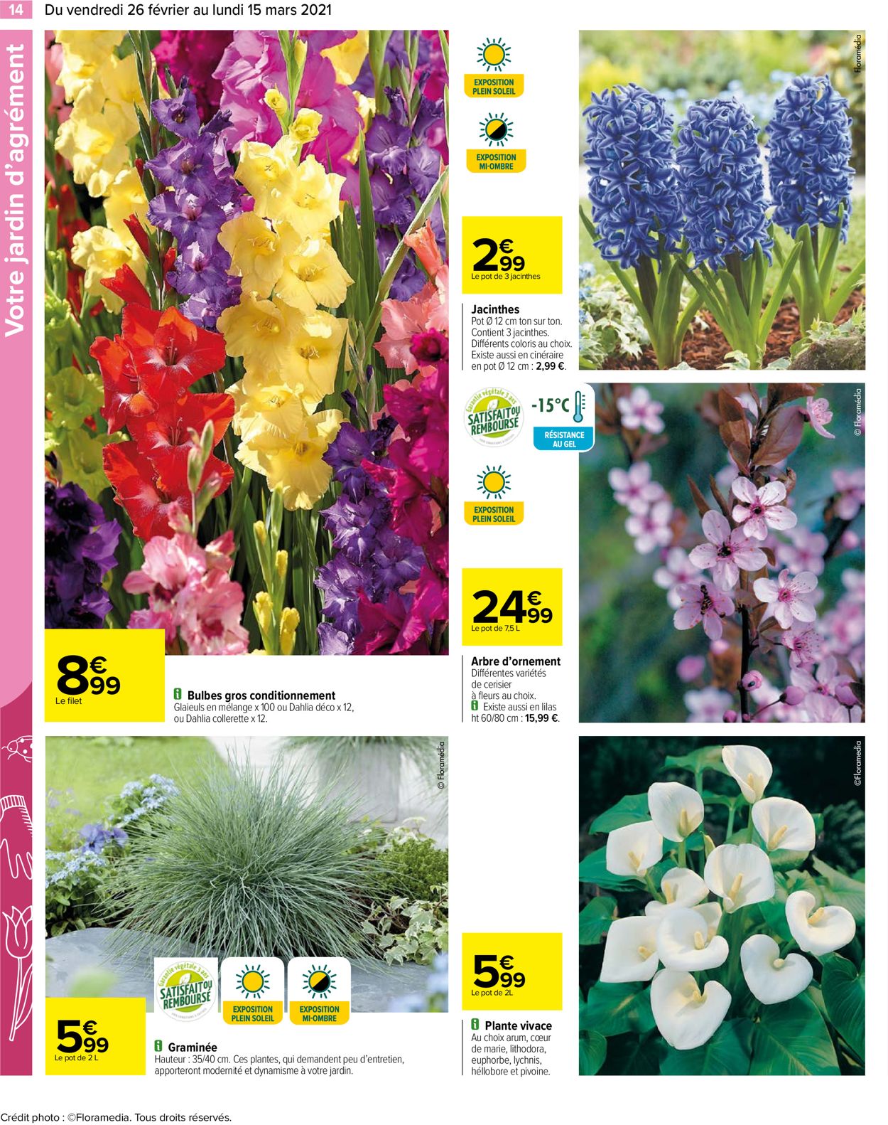 Carrefour Catalogue - 26.02-15.03.2021 (Page 14)