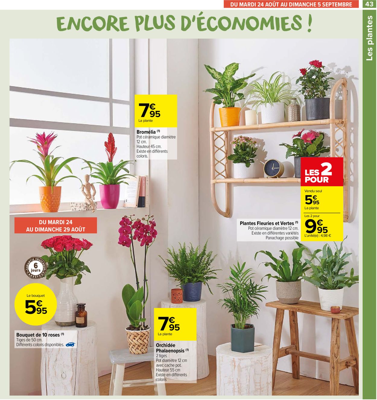Carrefour Catalogue - 24.08-05.09.2021 (Page 43)