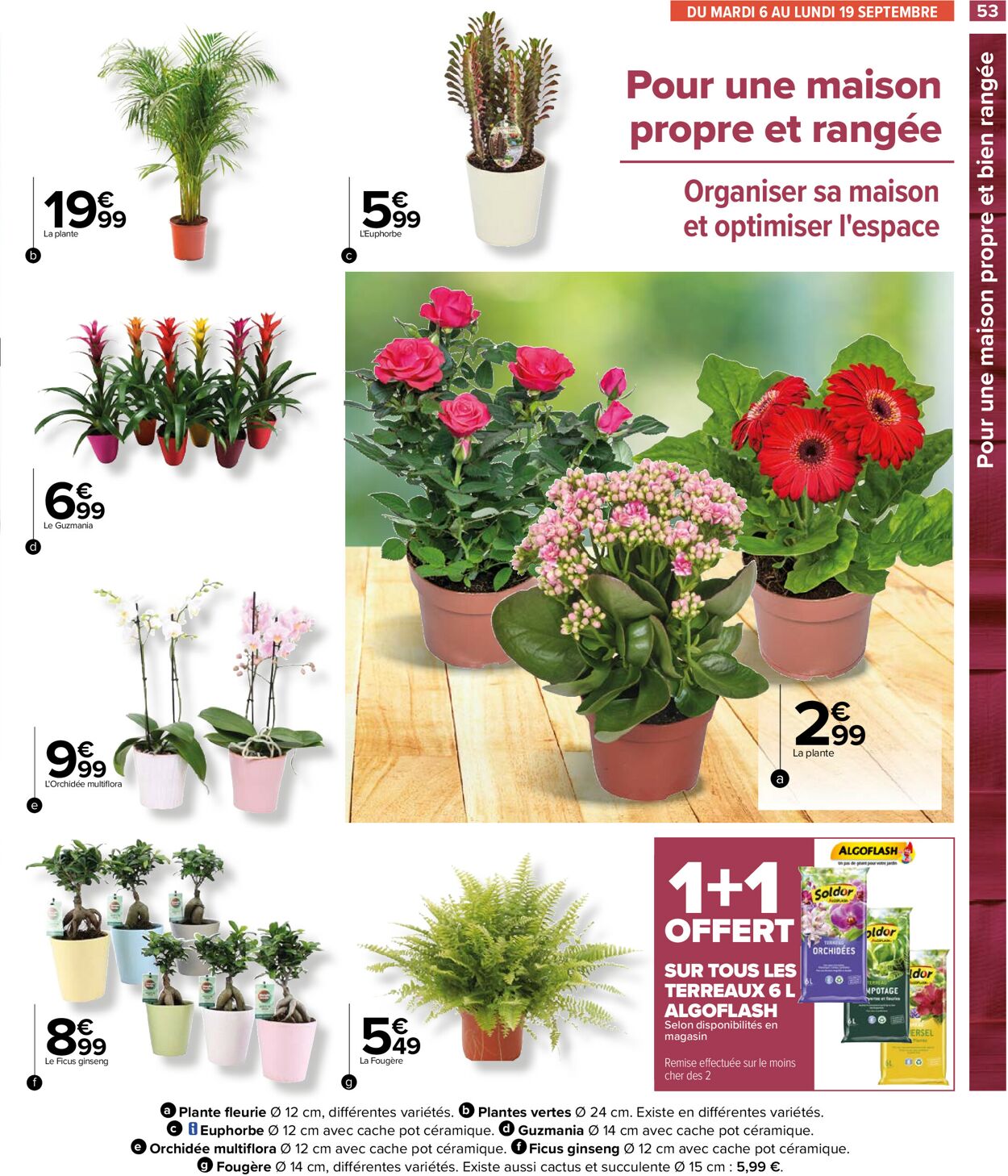 Carrefour Catalogue - 06.09-12.09.2022 (Page 56)