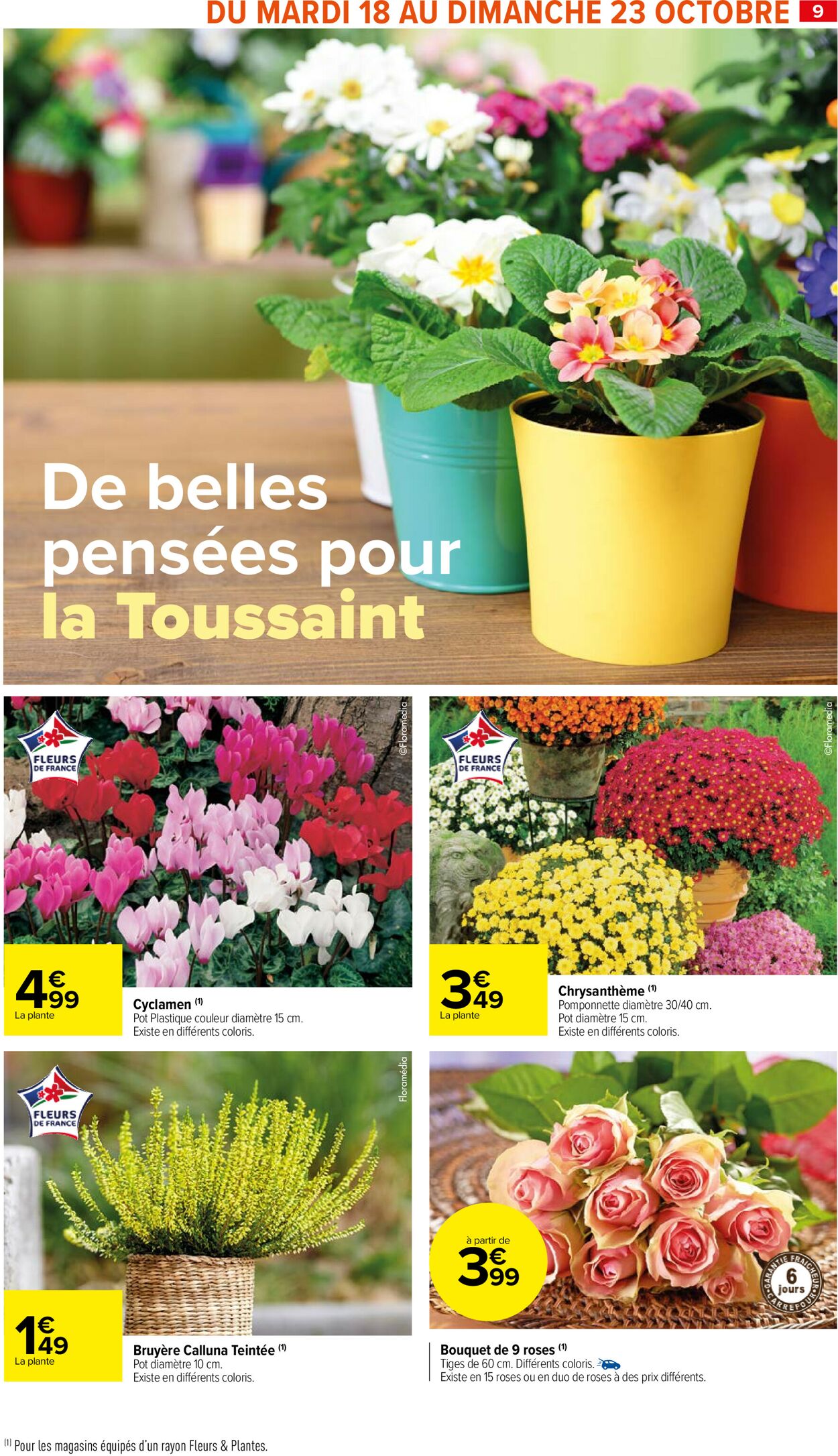 Carrefour Catalogue - 18.10-30.10.2022 (Page 11)