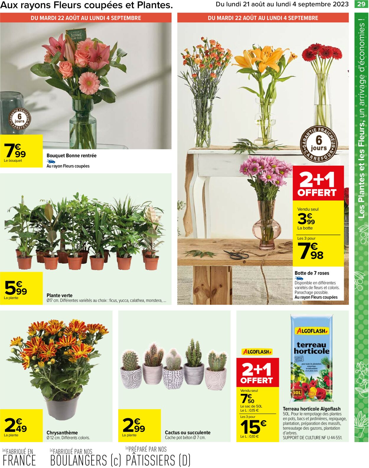 Carrefour Catalogue - 21.08-04.09.2023 (Page 31)