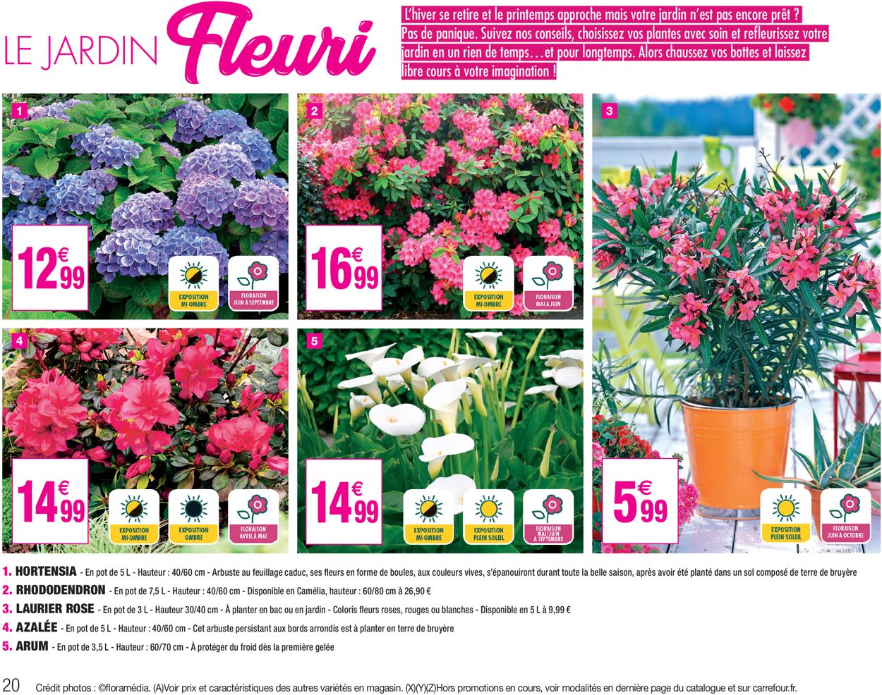 Carrefour Catalogue - 24.03-19.04.2020 (Page 20)
