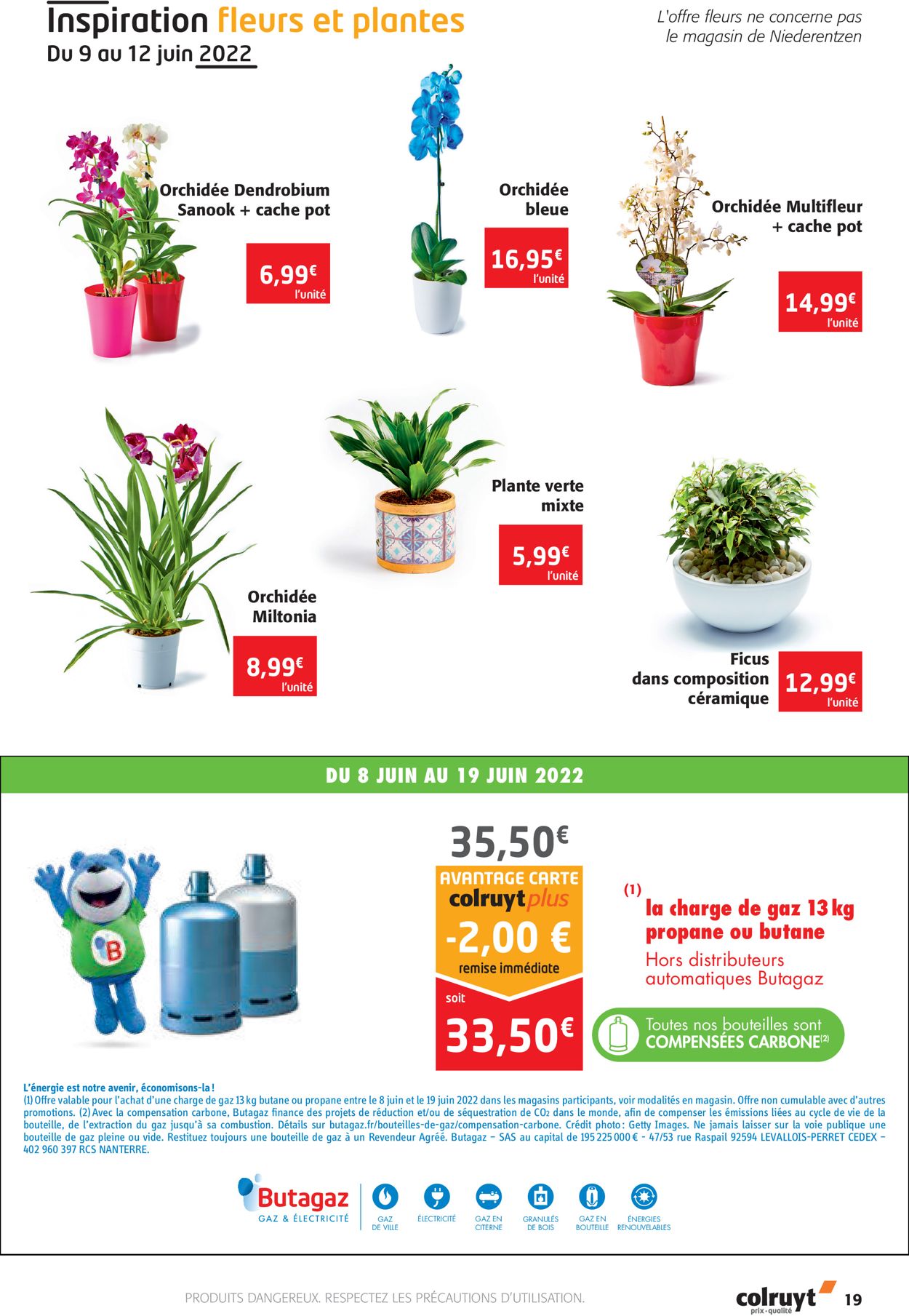 Colruyt Catalogue - 08.06-19.06.2022 (Page 19)