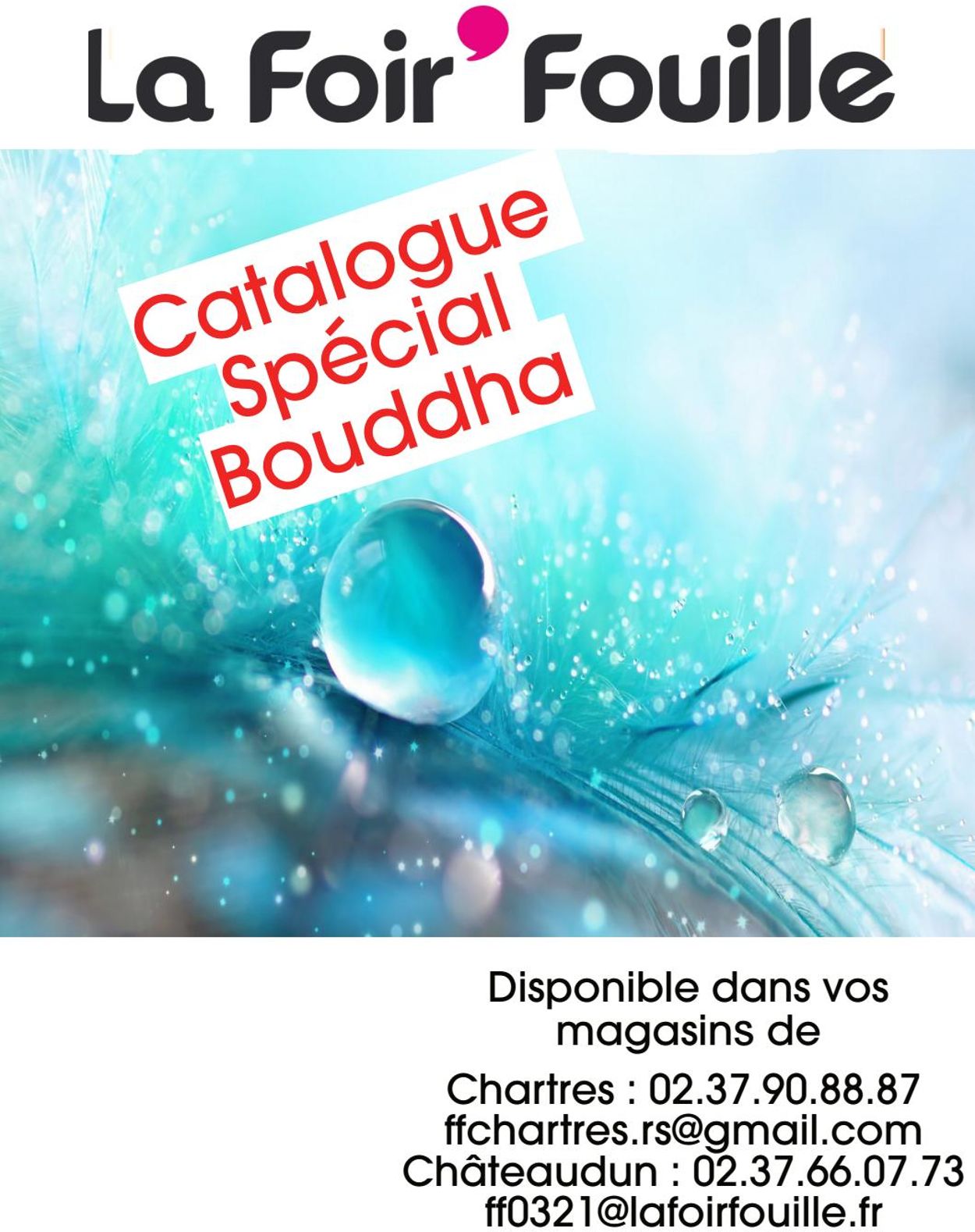La Foir'Fouille Catalogue - 29.01-04.02.2021