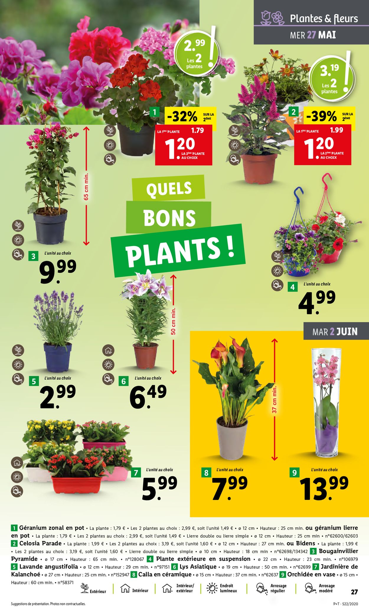 Lidl Catalogue - 27.05-02.06.2020 (Page 29)