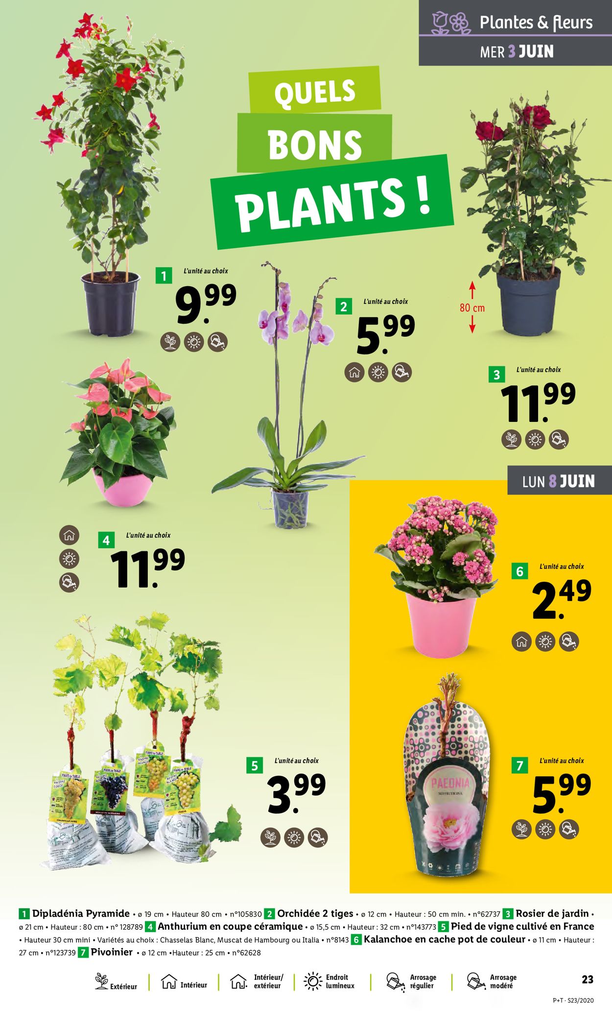 Lidl Catalogue - 03.06-09.06.2020 (Page 23)
