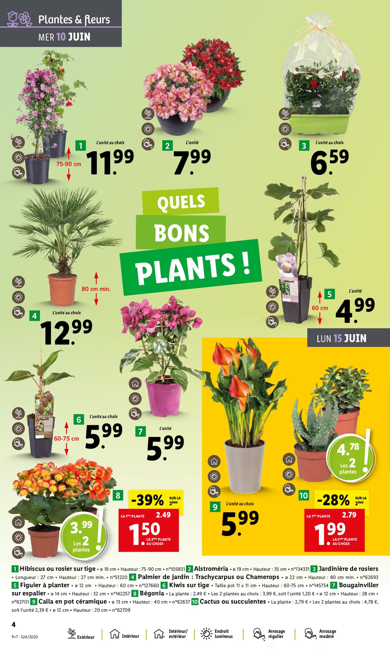 Lidl Catalogue - 10.06-16.06.2020 (Page 4)